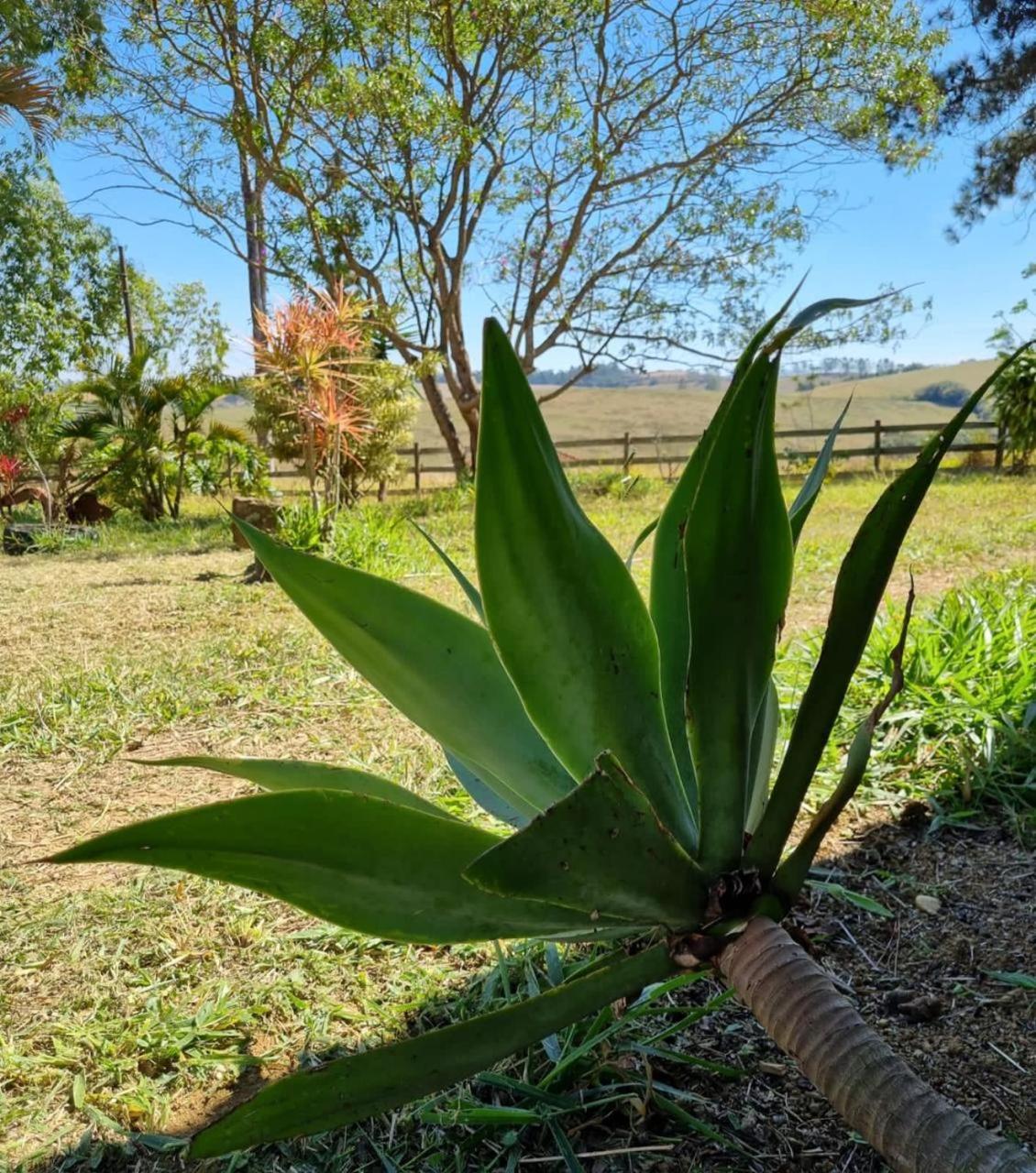 Fazenda Monterrey
