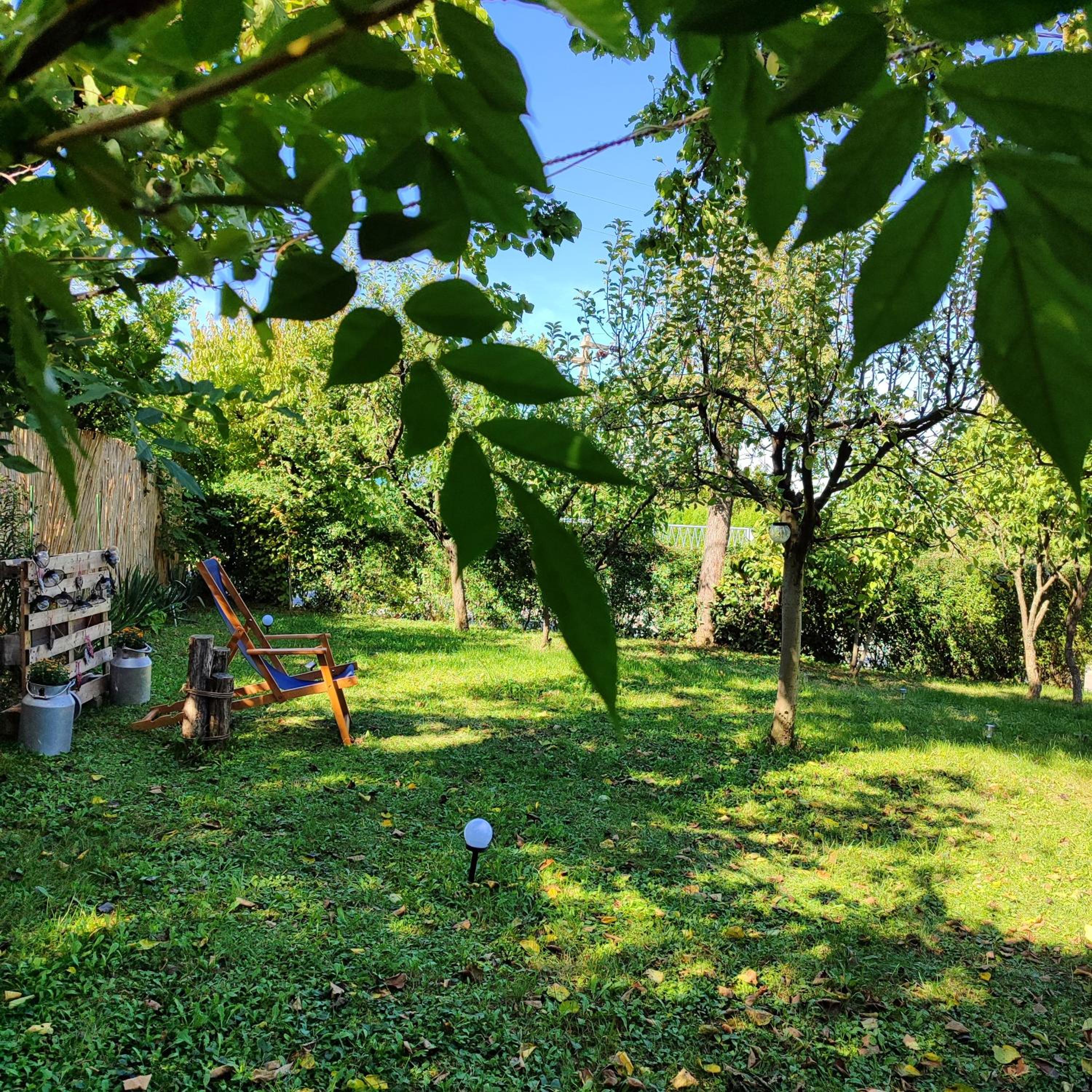 Photo 33