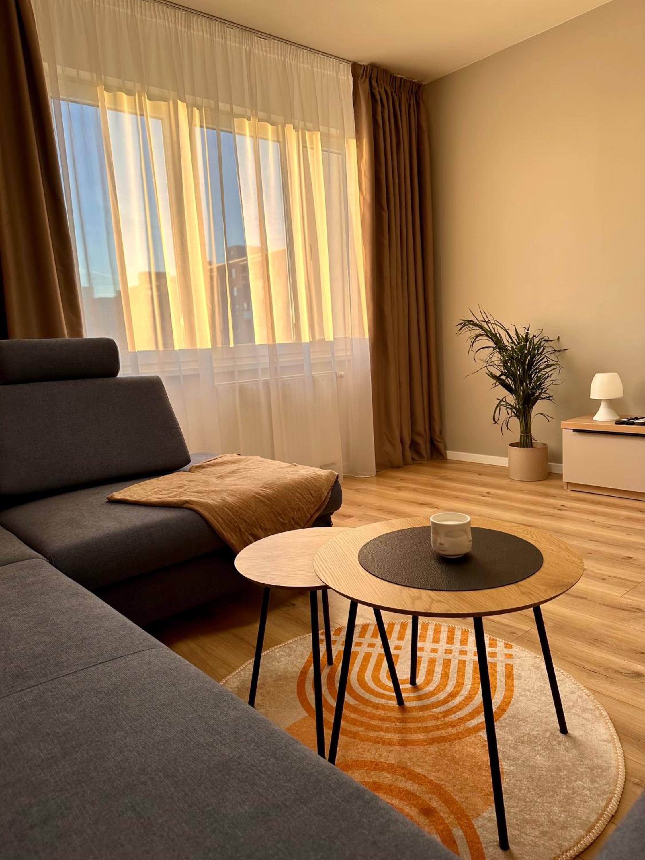 Trendy Apartment