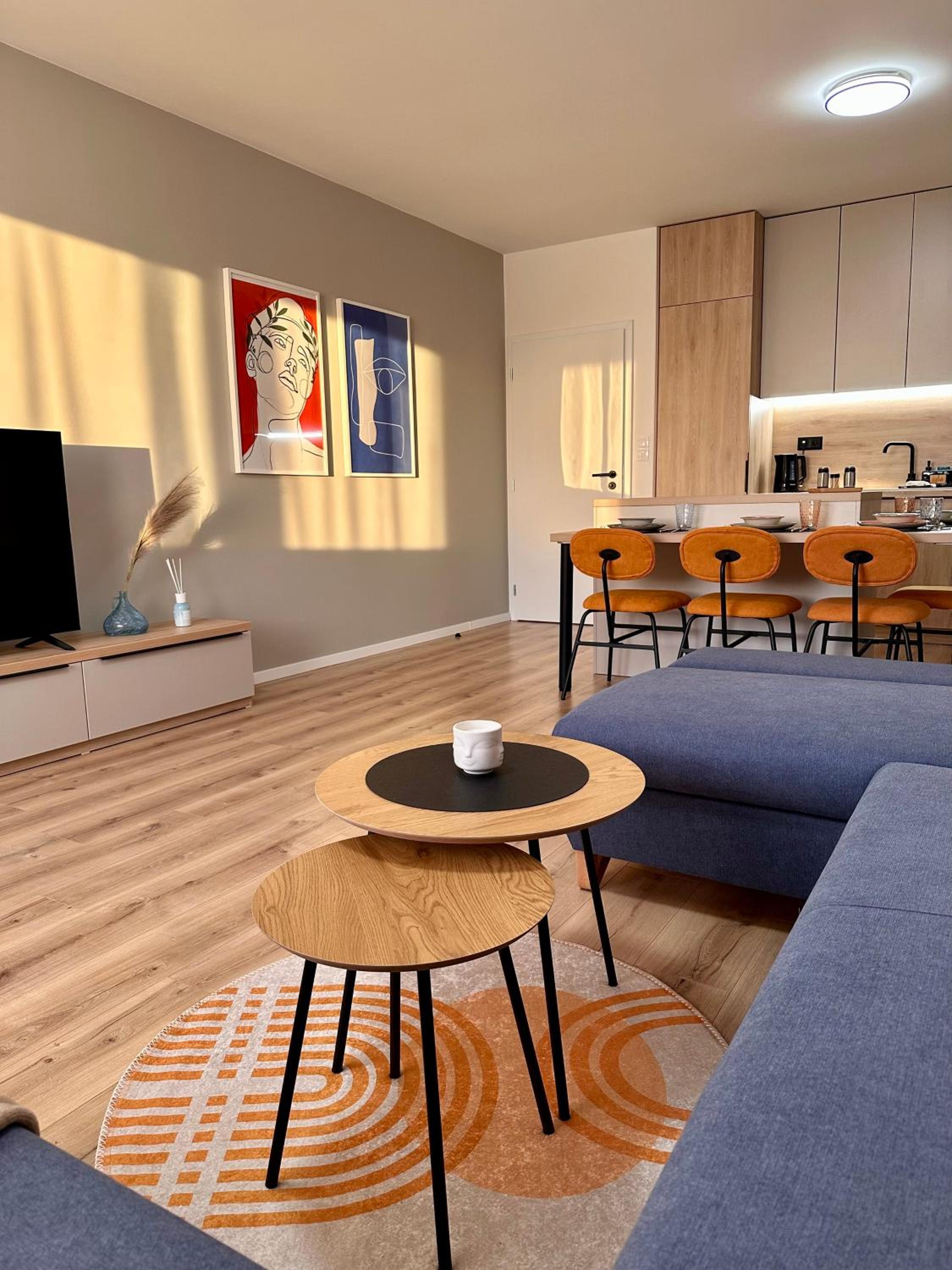 Trendy Apartment