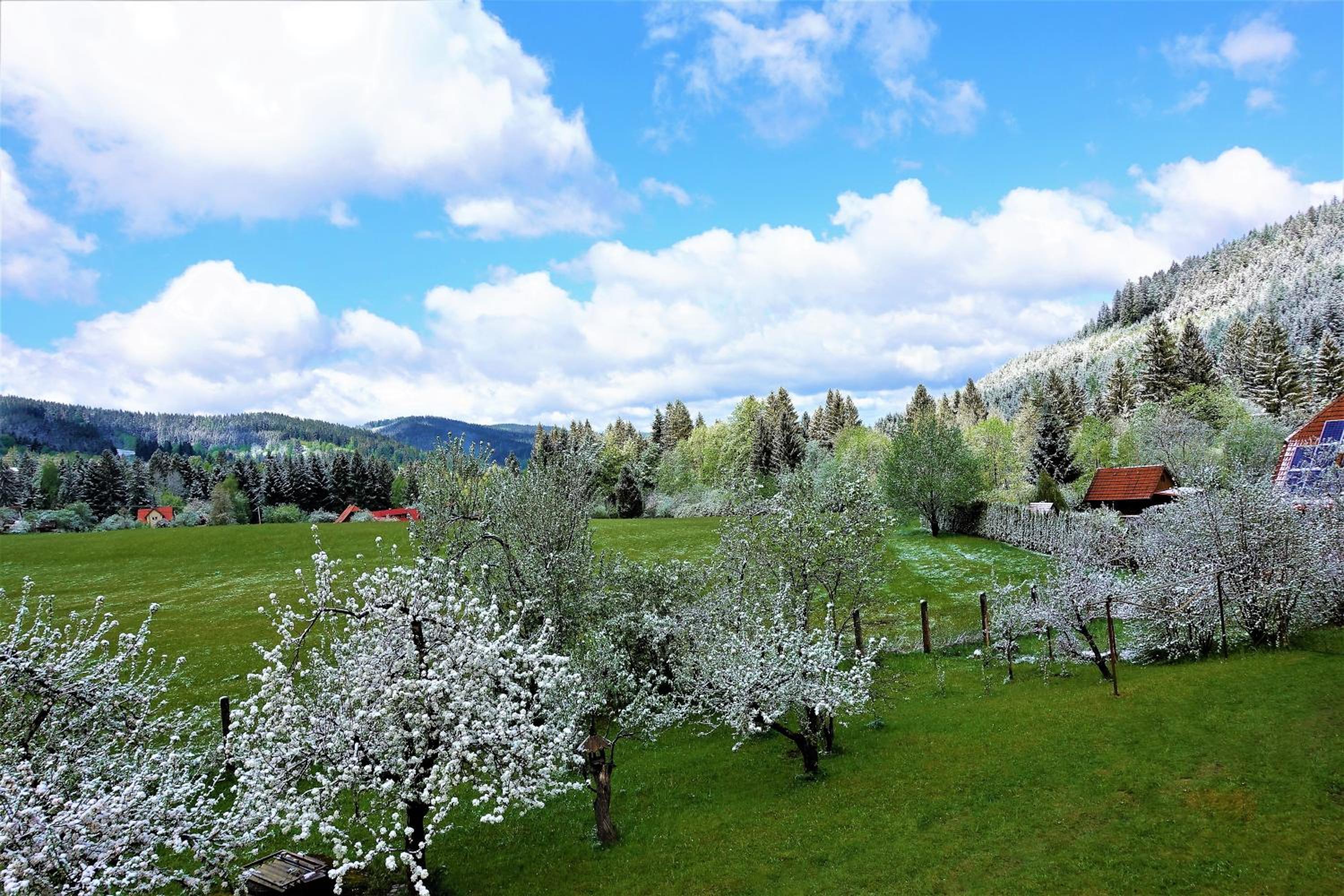 Apartmány U Studánky