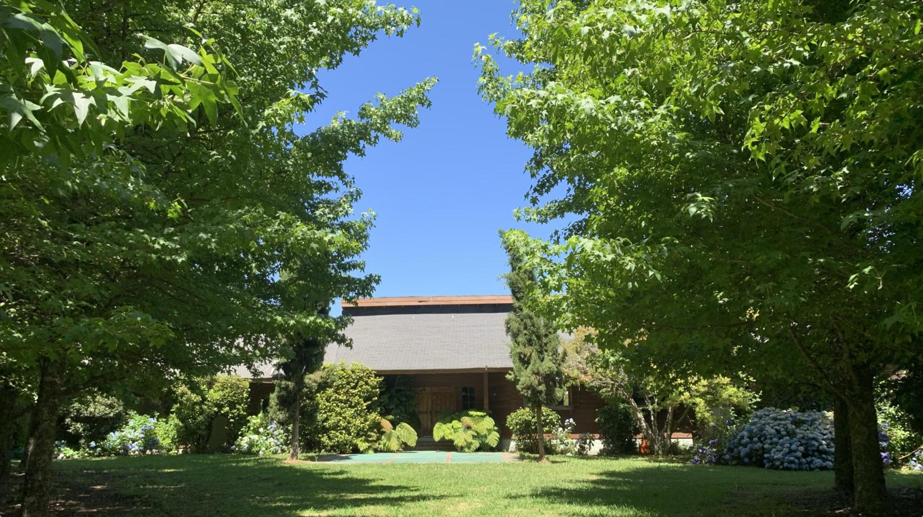 Magnolia Bed & Breakfast