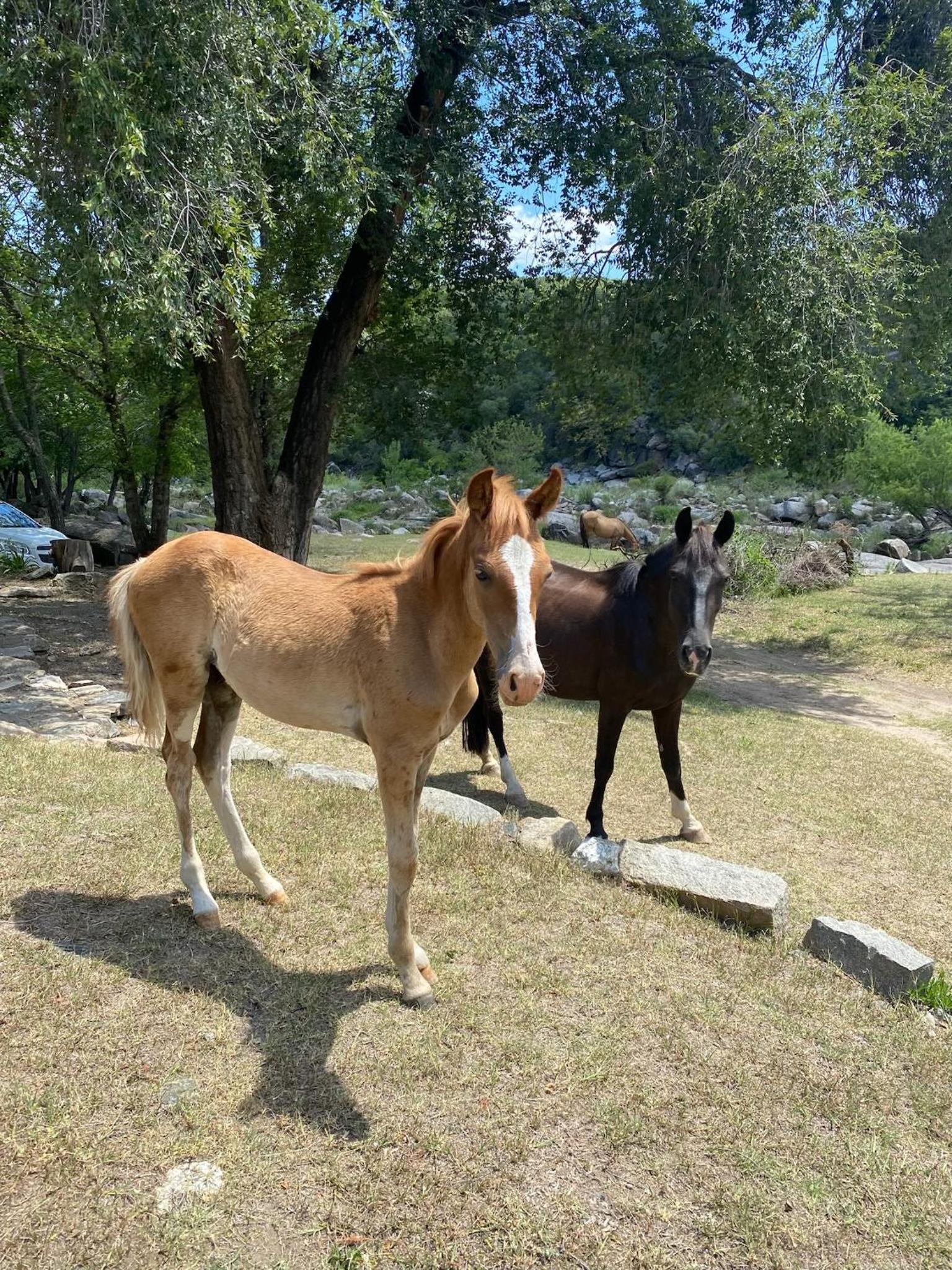 Casa De Campo La Melisa Frente Al Río