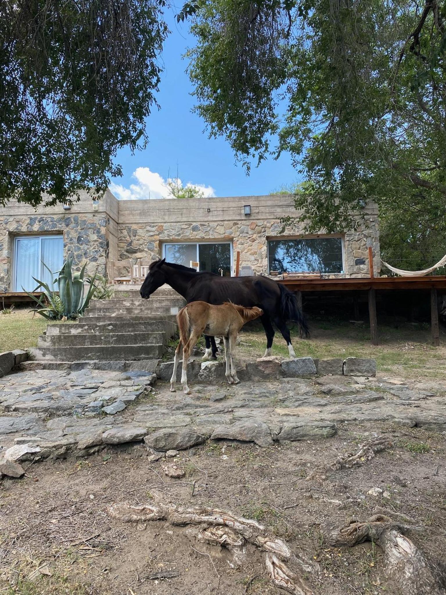 Casa De Campo La Melisa Frente Al Río