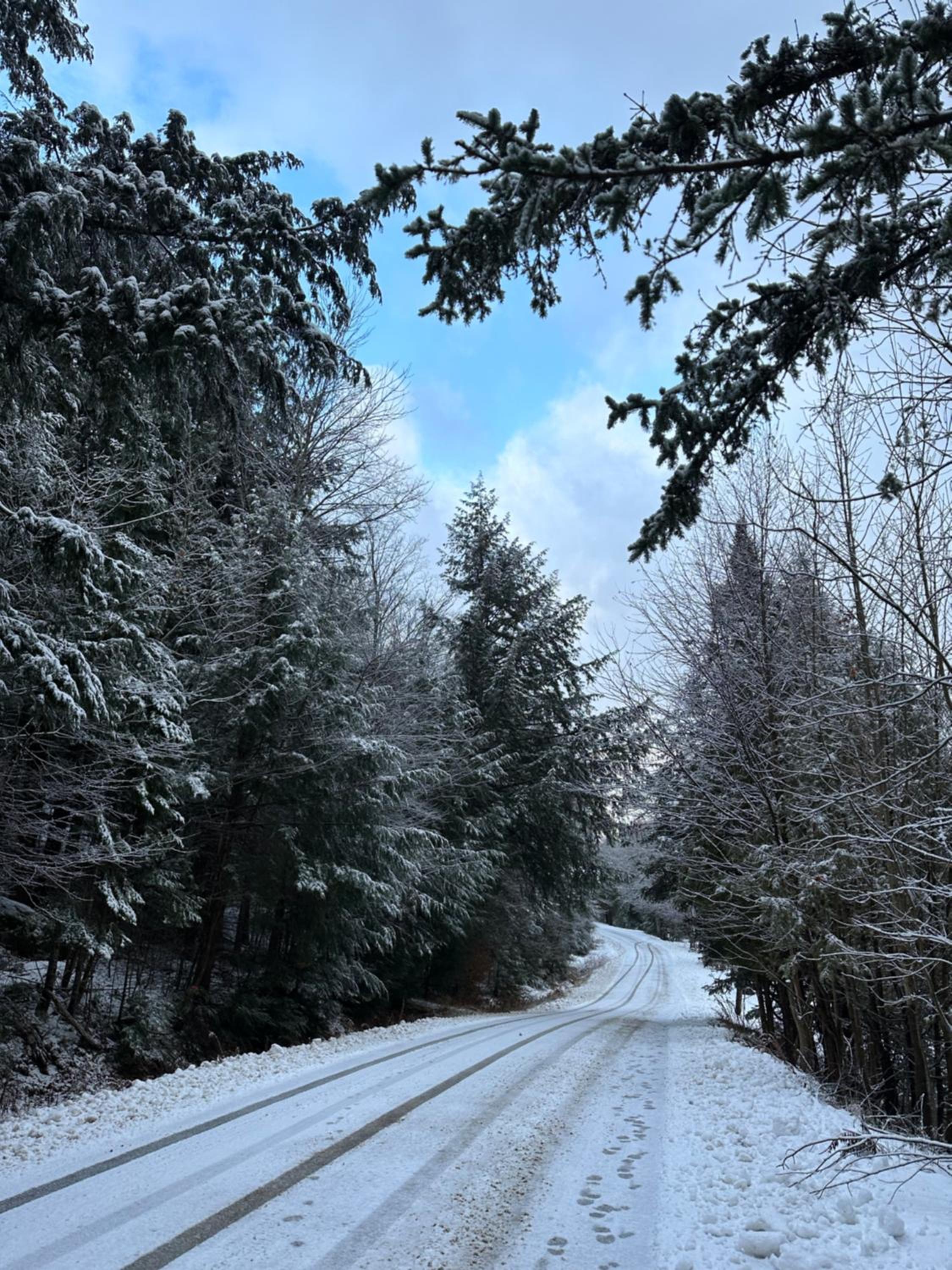 Waterfront Haliburton, All Season, Fully Equipped Cottage! #STR-25-00252