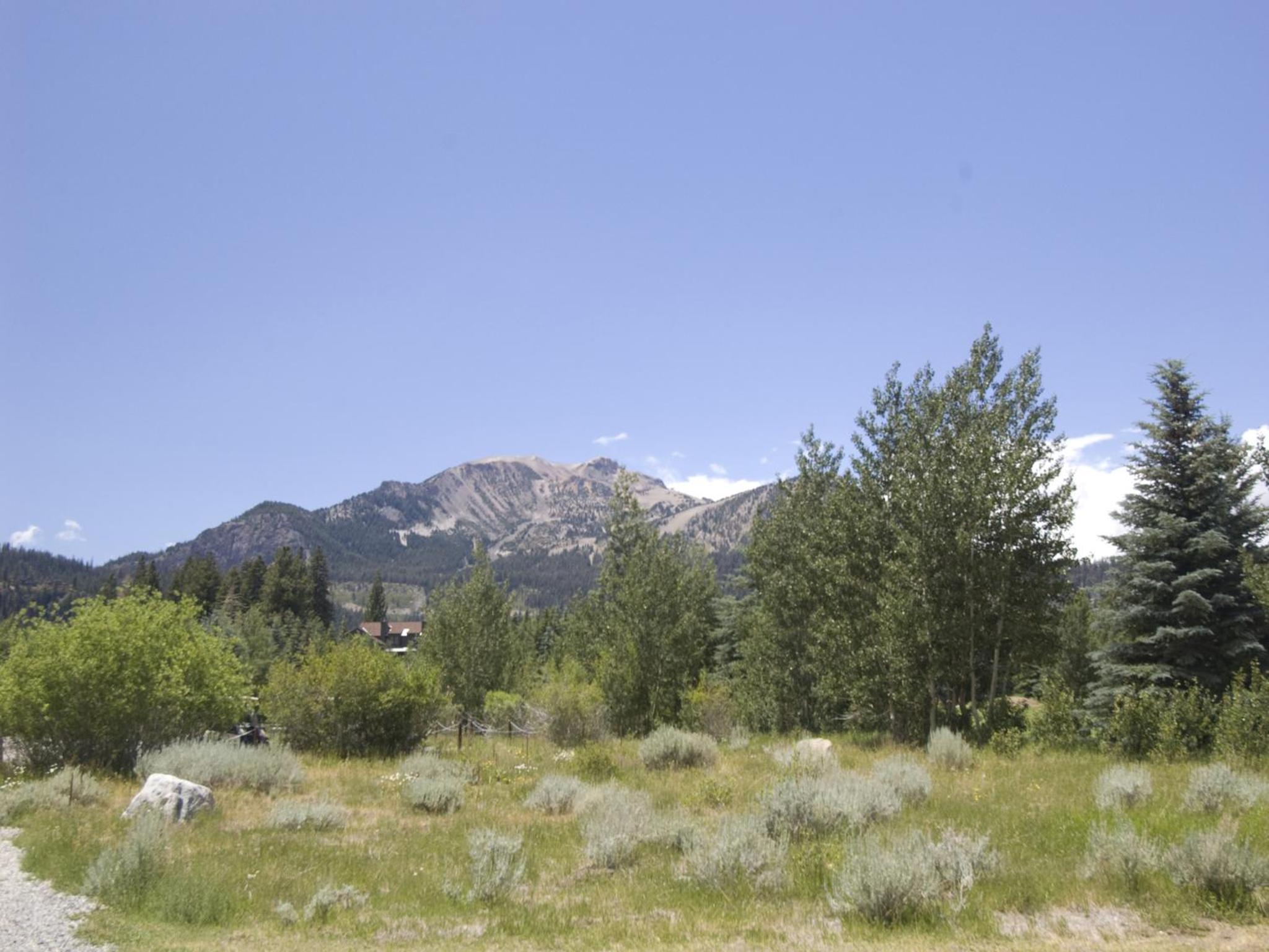 Photo 37