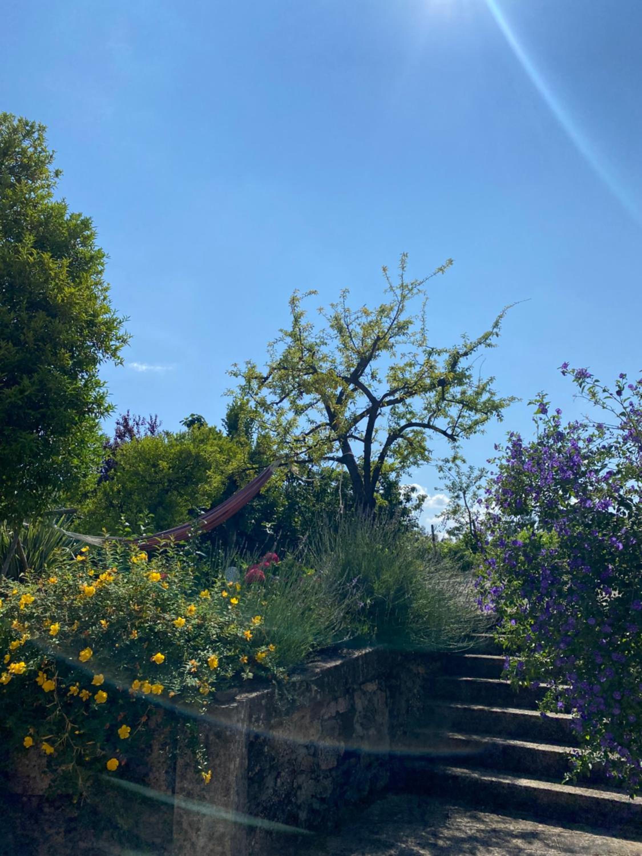 Turra Nature House
