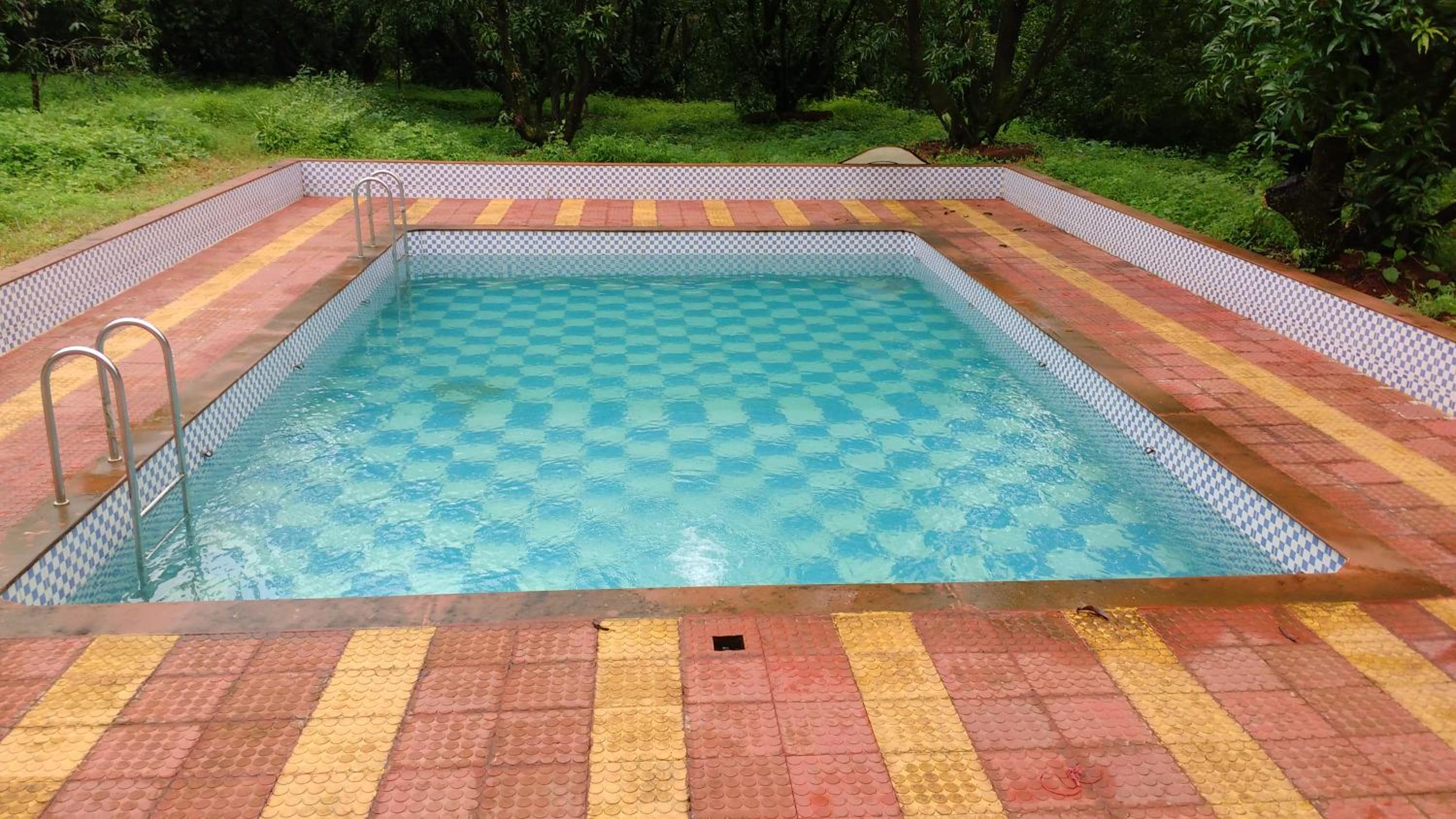 Photo 10