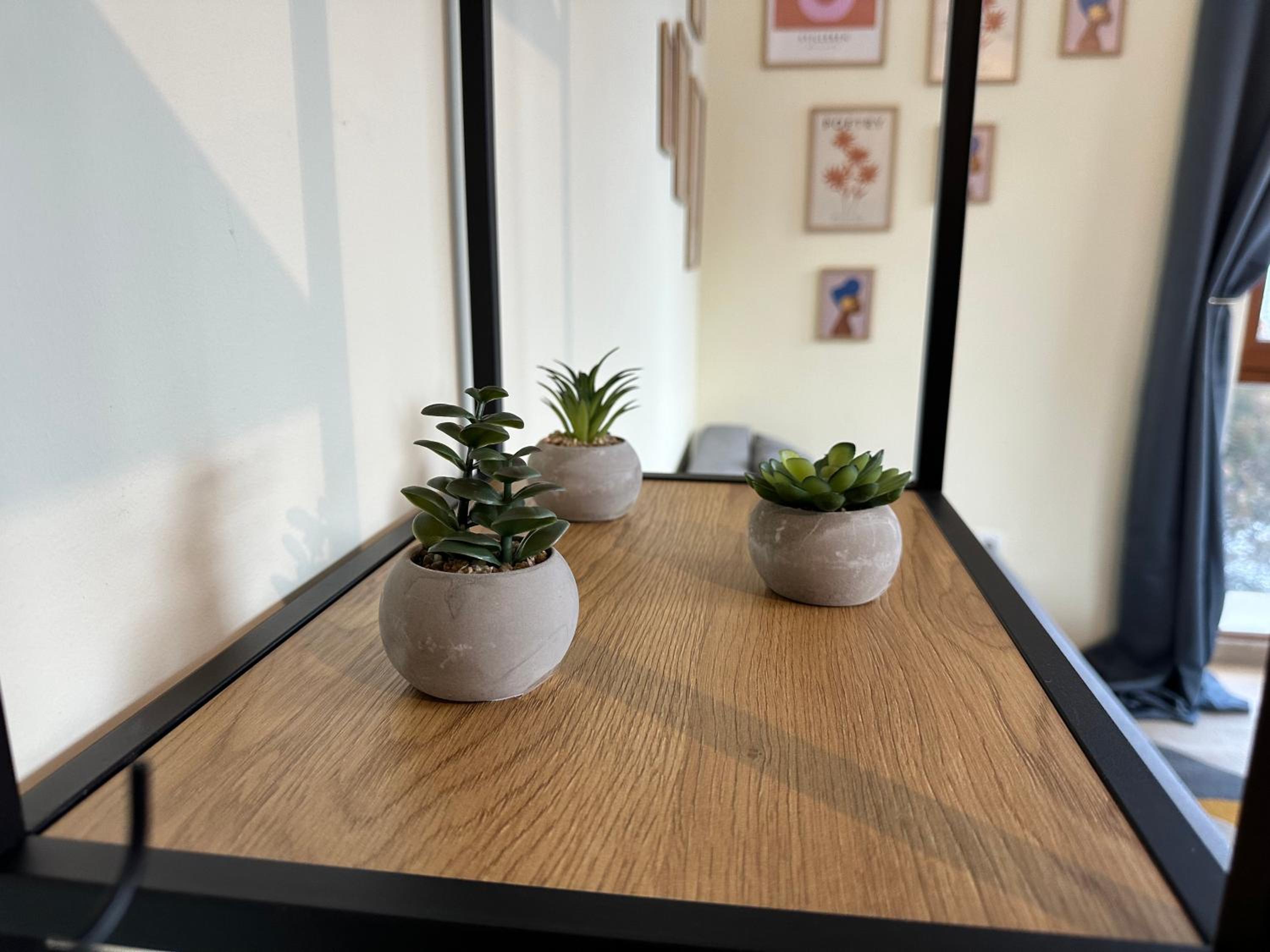 Pine Tree - charming apartment