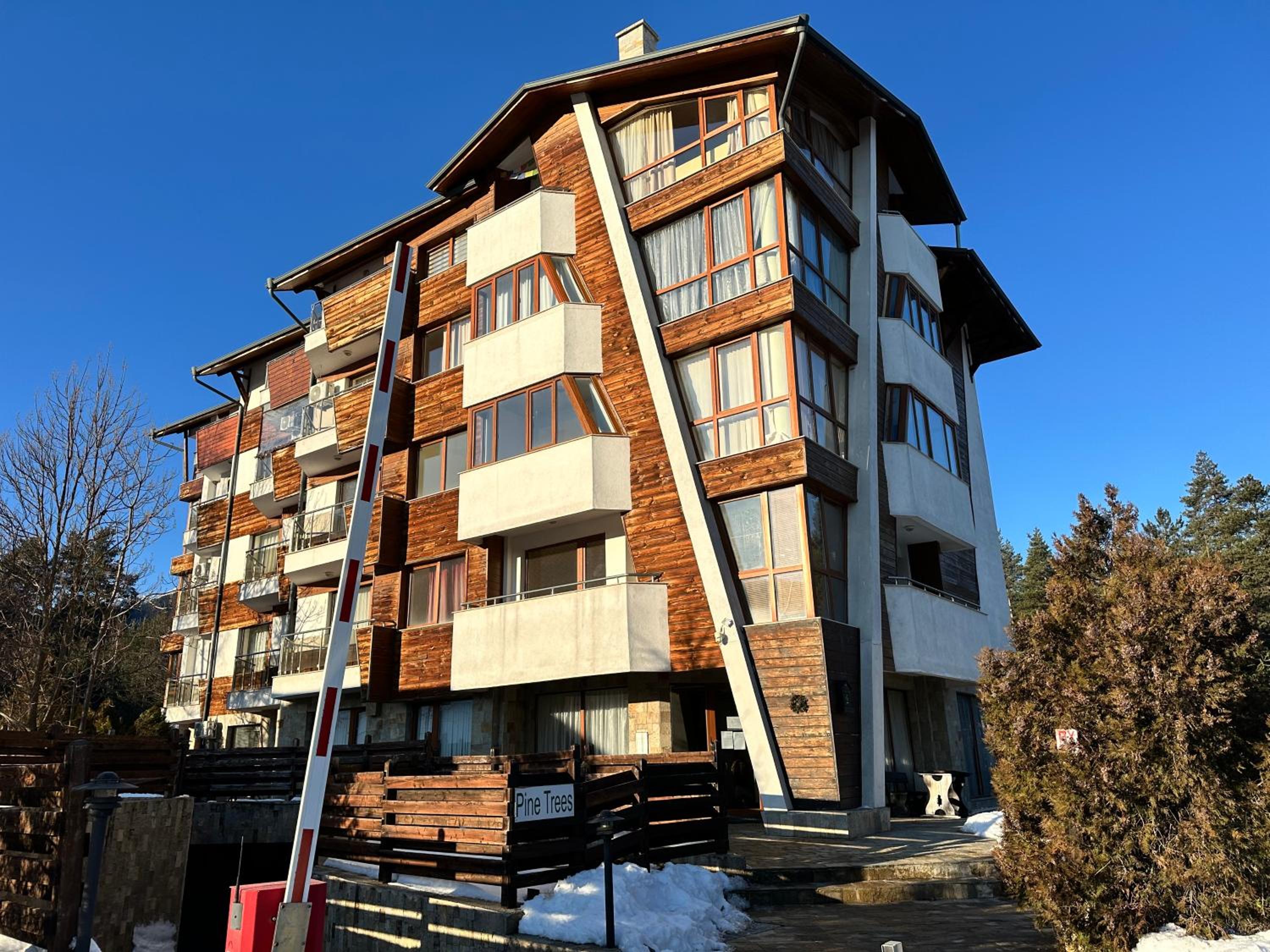 Pine Tree - charming apartment