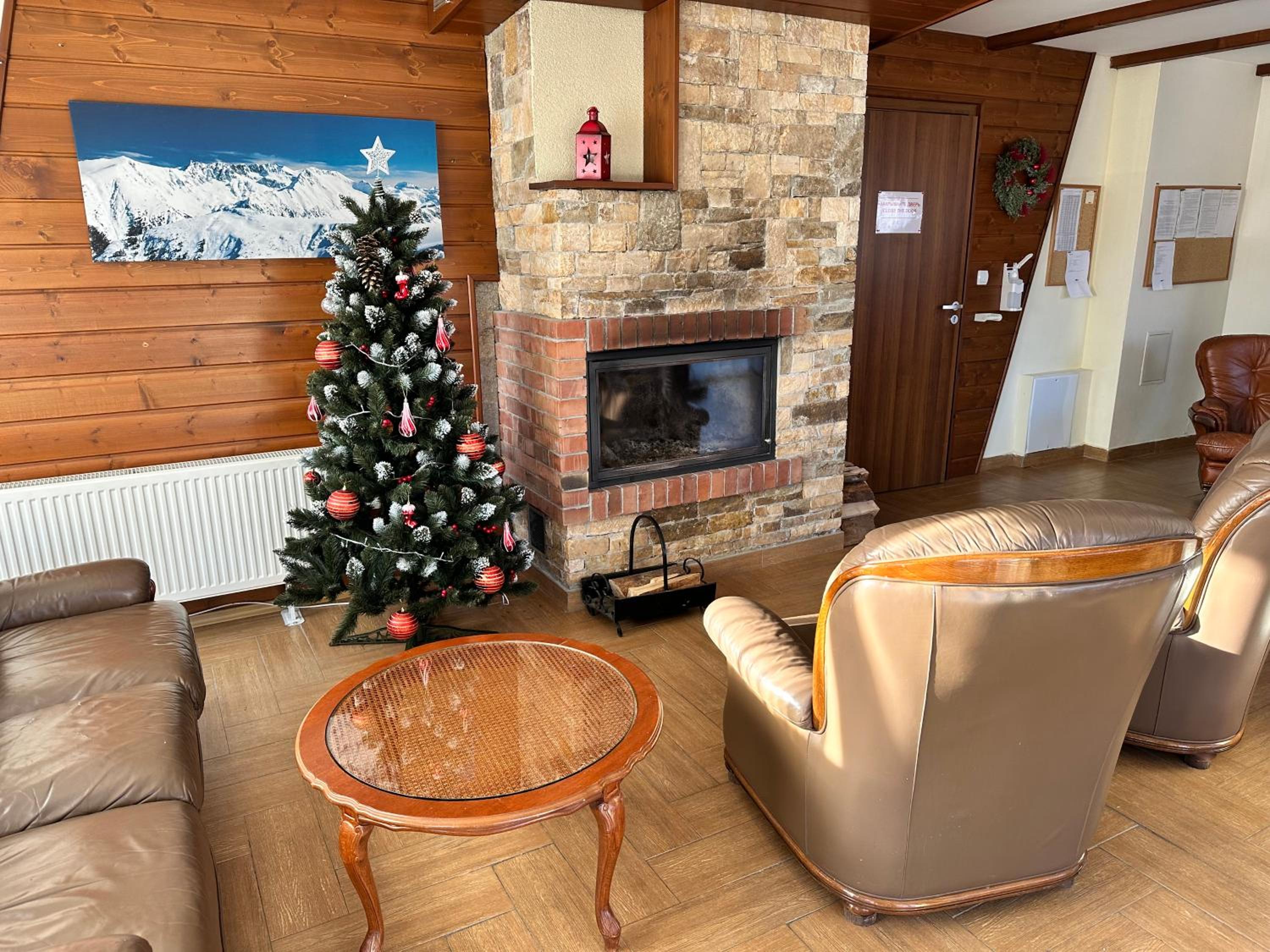 Pine Tree - charming apartment