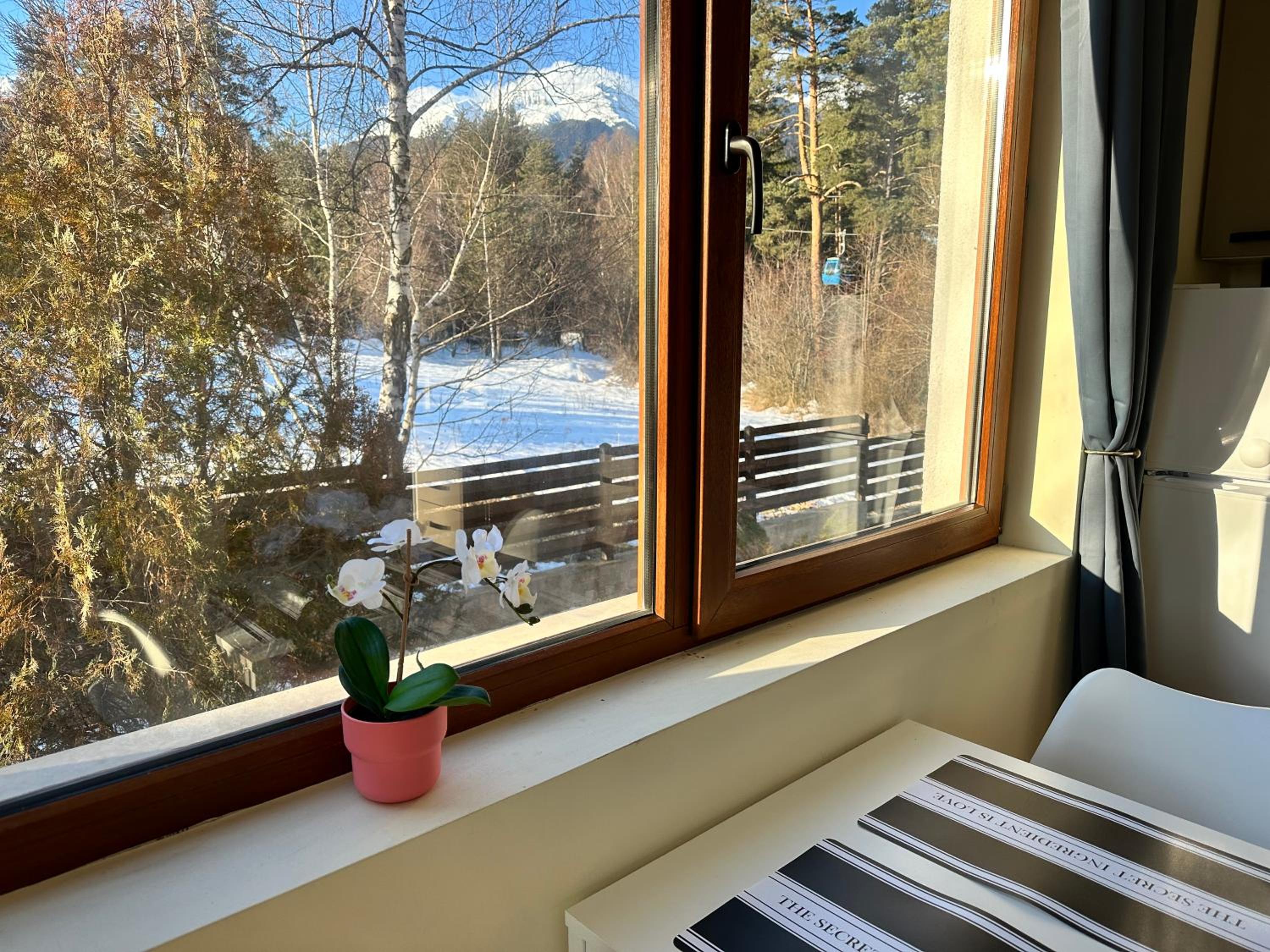 Pine Tree - charming apartment