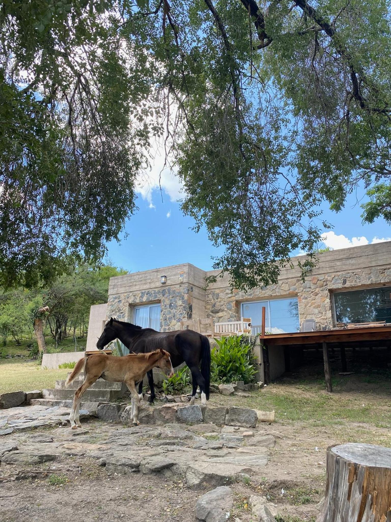Casa De Campo La Melisa Frente Al Río