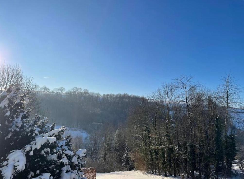 Duplex avec superbe vue boisée