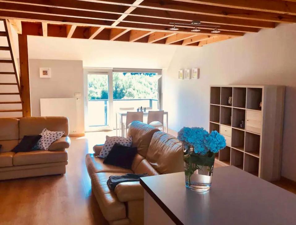 Duplex avec superbe vue boisée