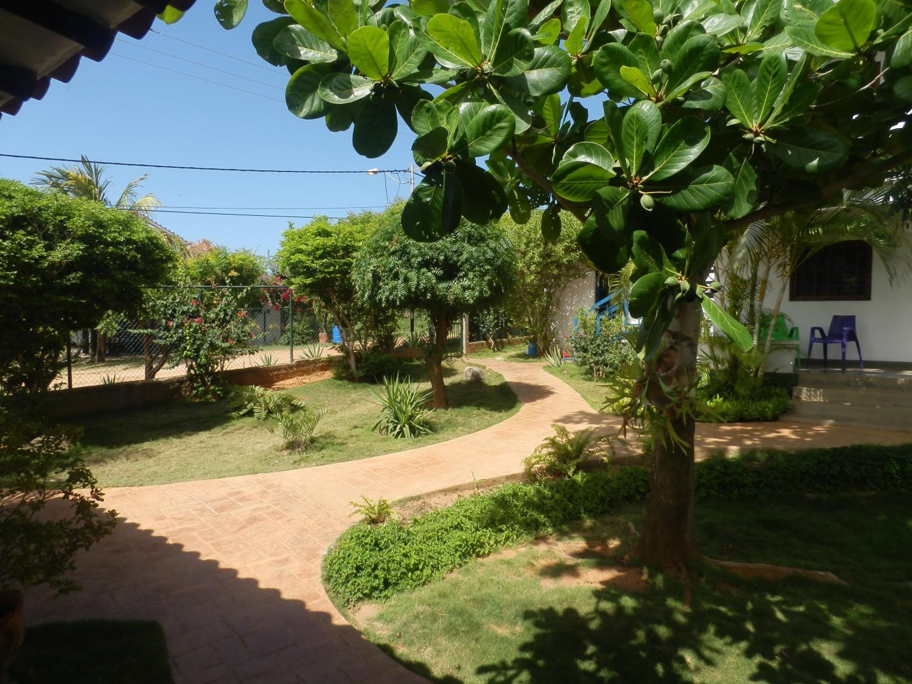 Photo 17