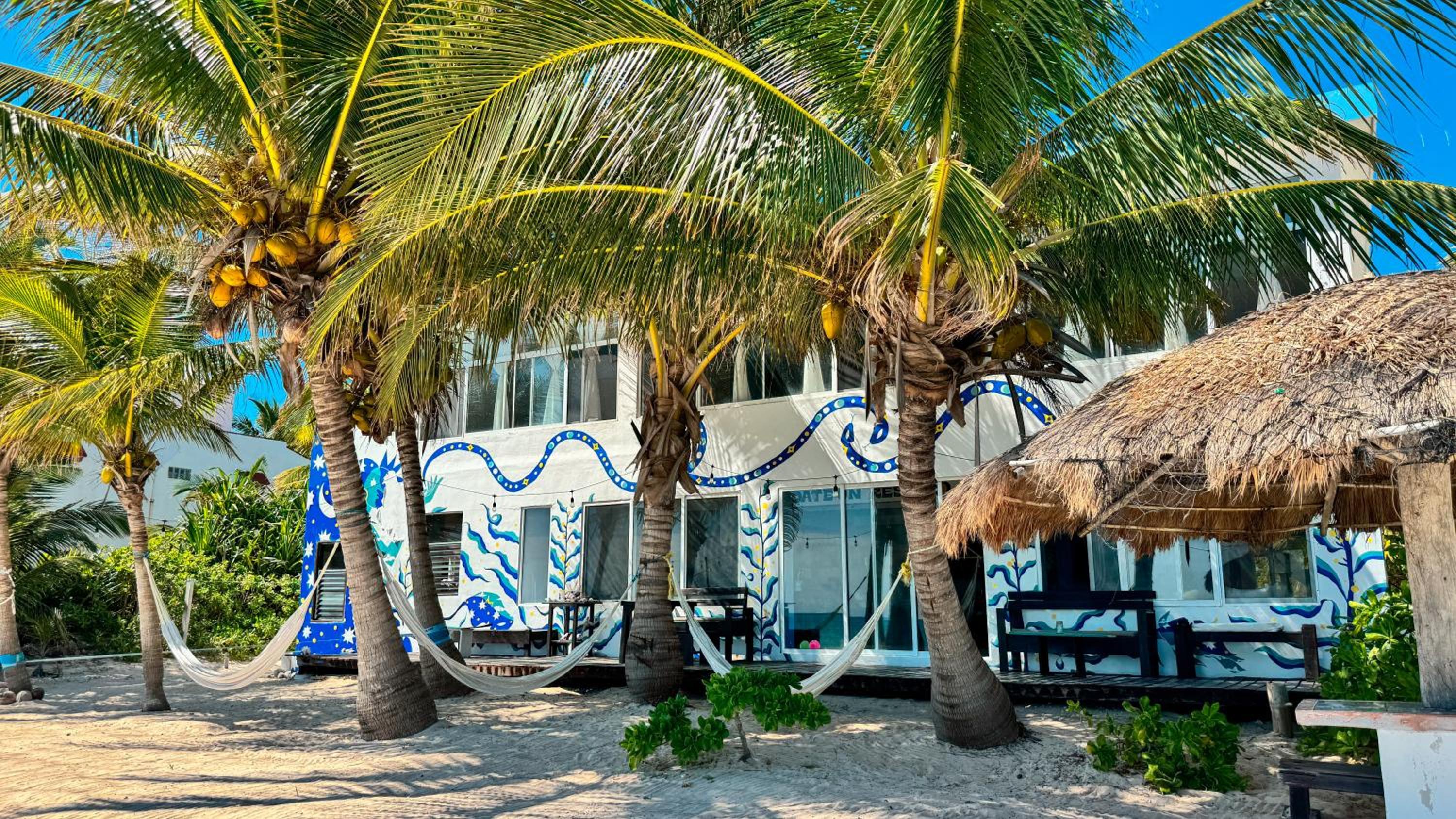 Pronoia Casa de Playa view 5