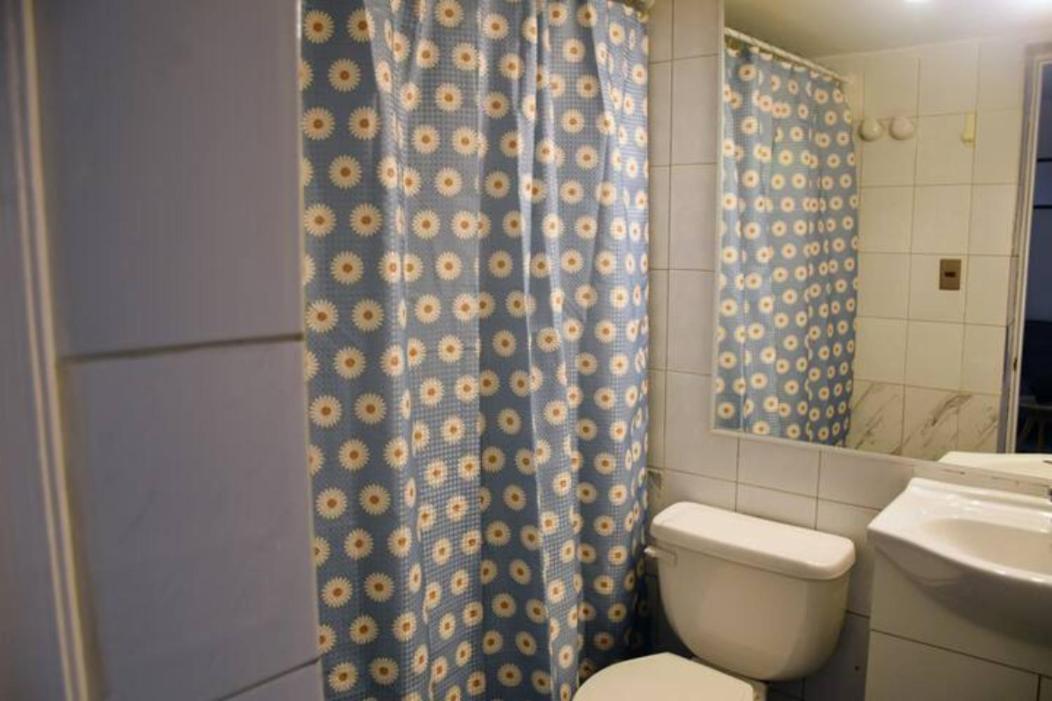 Loft Mestizo