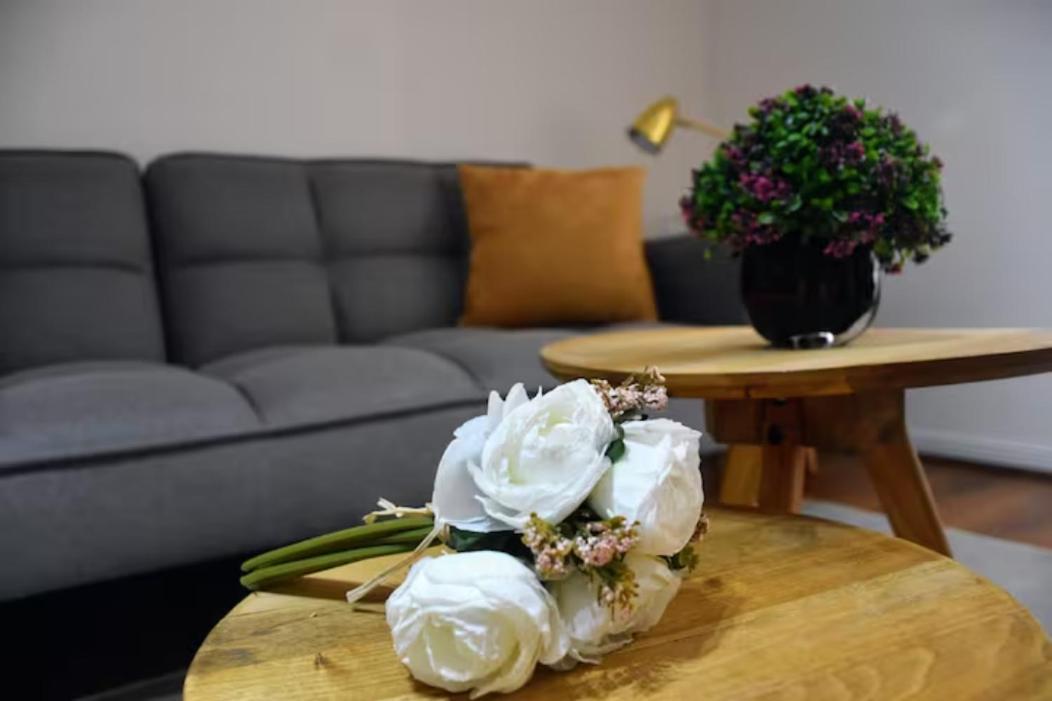Loft Mestizo