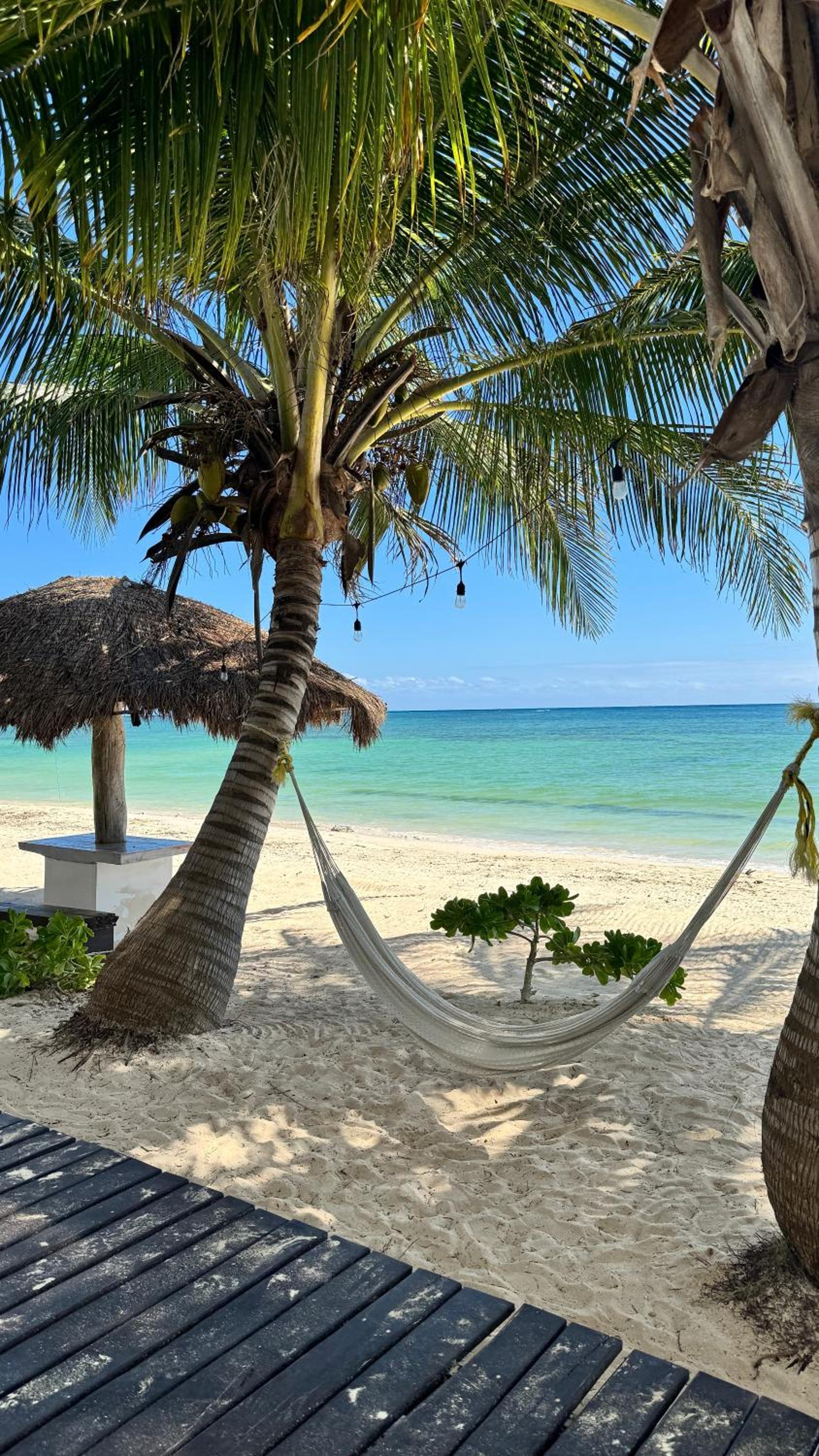 Pronoia Casa de Playa view 2