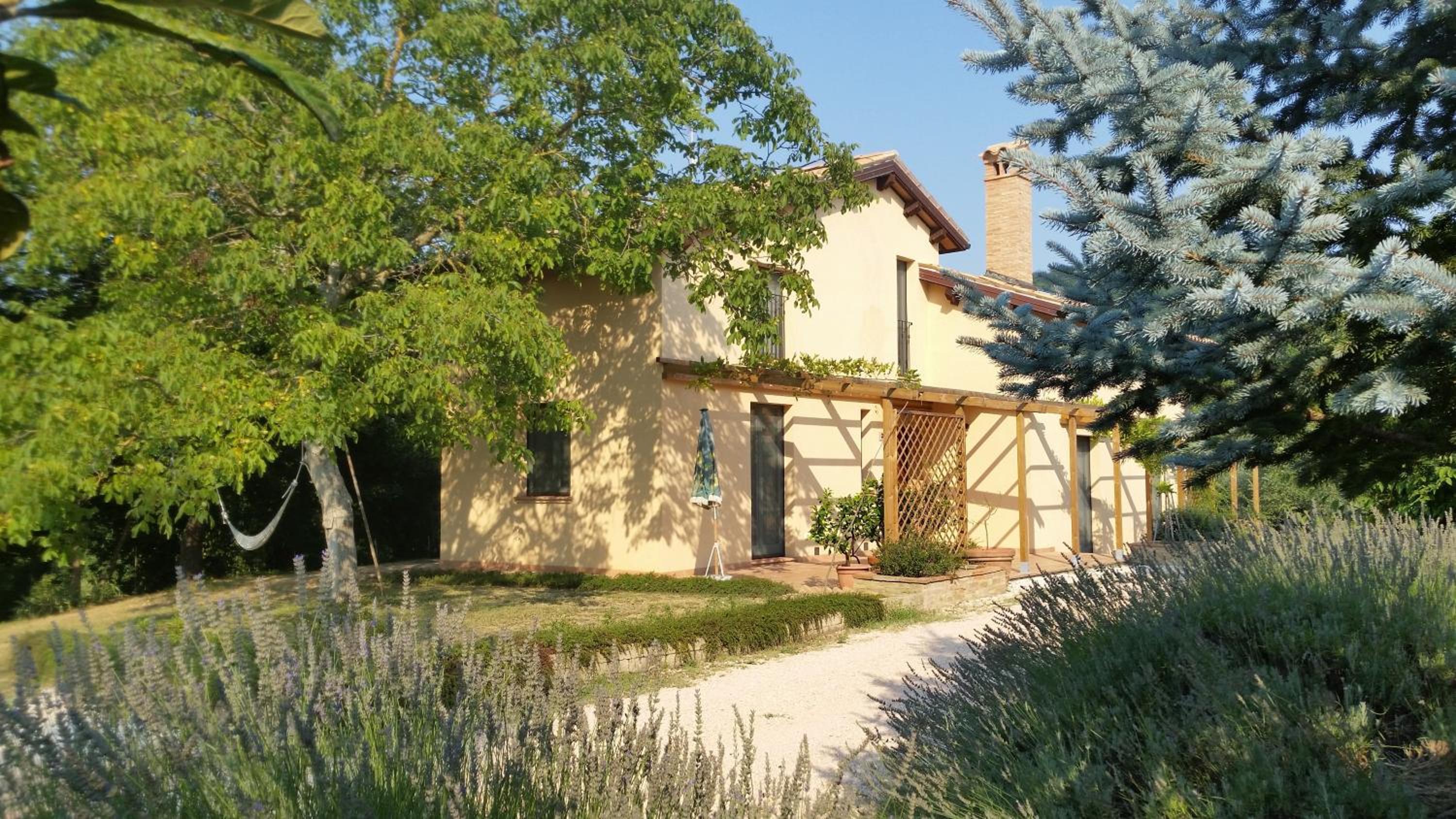 B&B Antegiano view 3