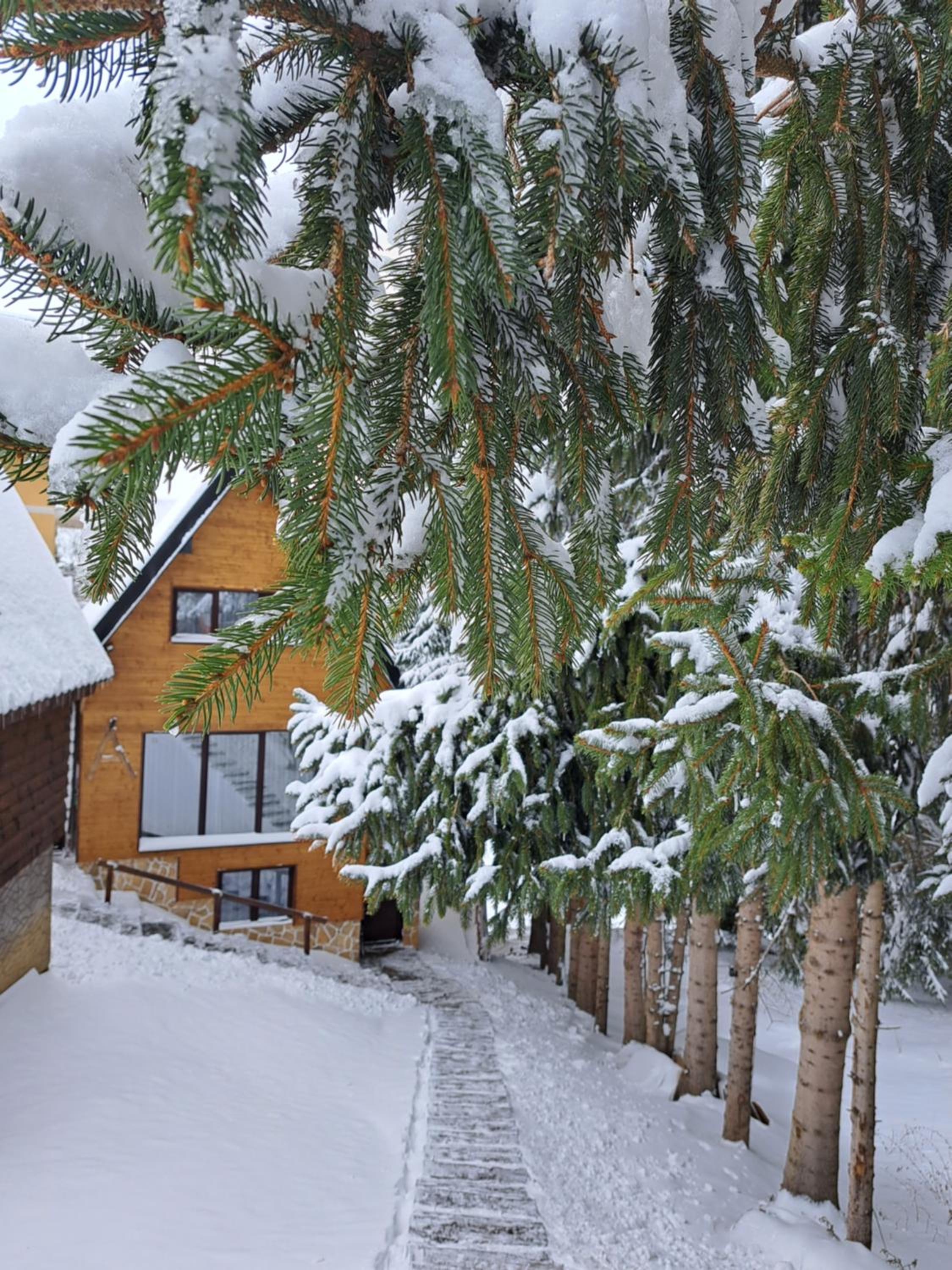 Villa Zagorka and mountain houses A, M, D view 4