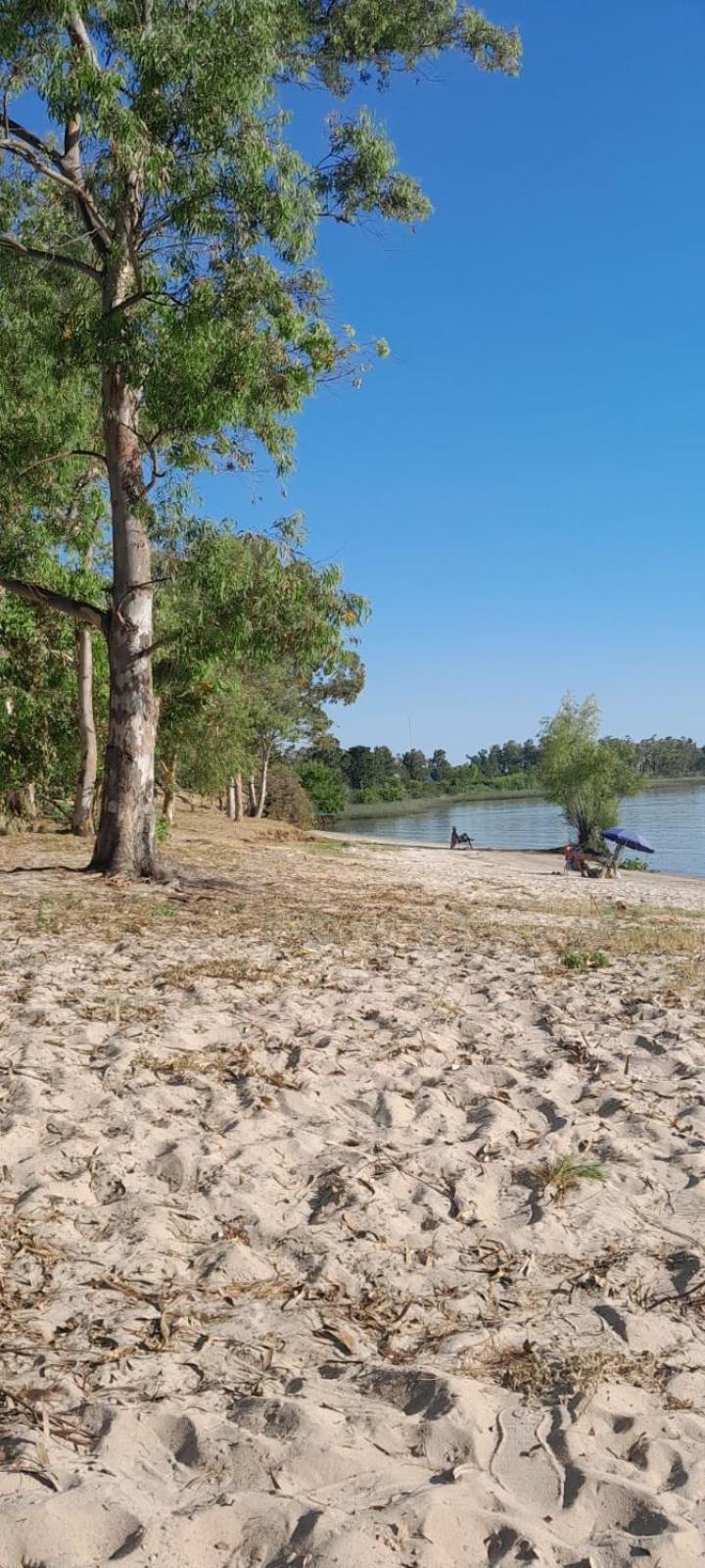Photo 29
