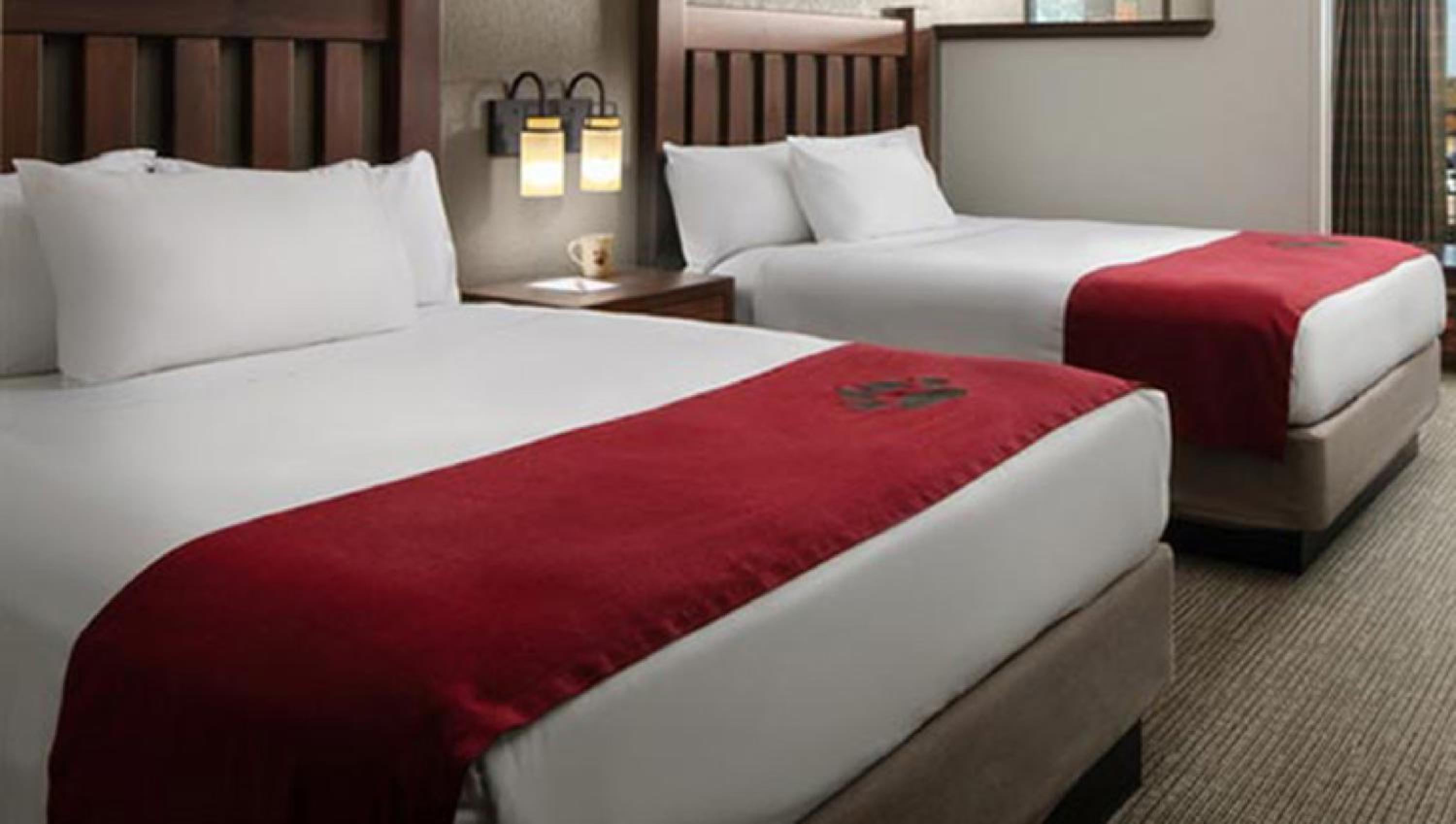 Great Wolf Lodge Mason - Property Image 3