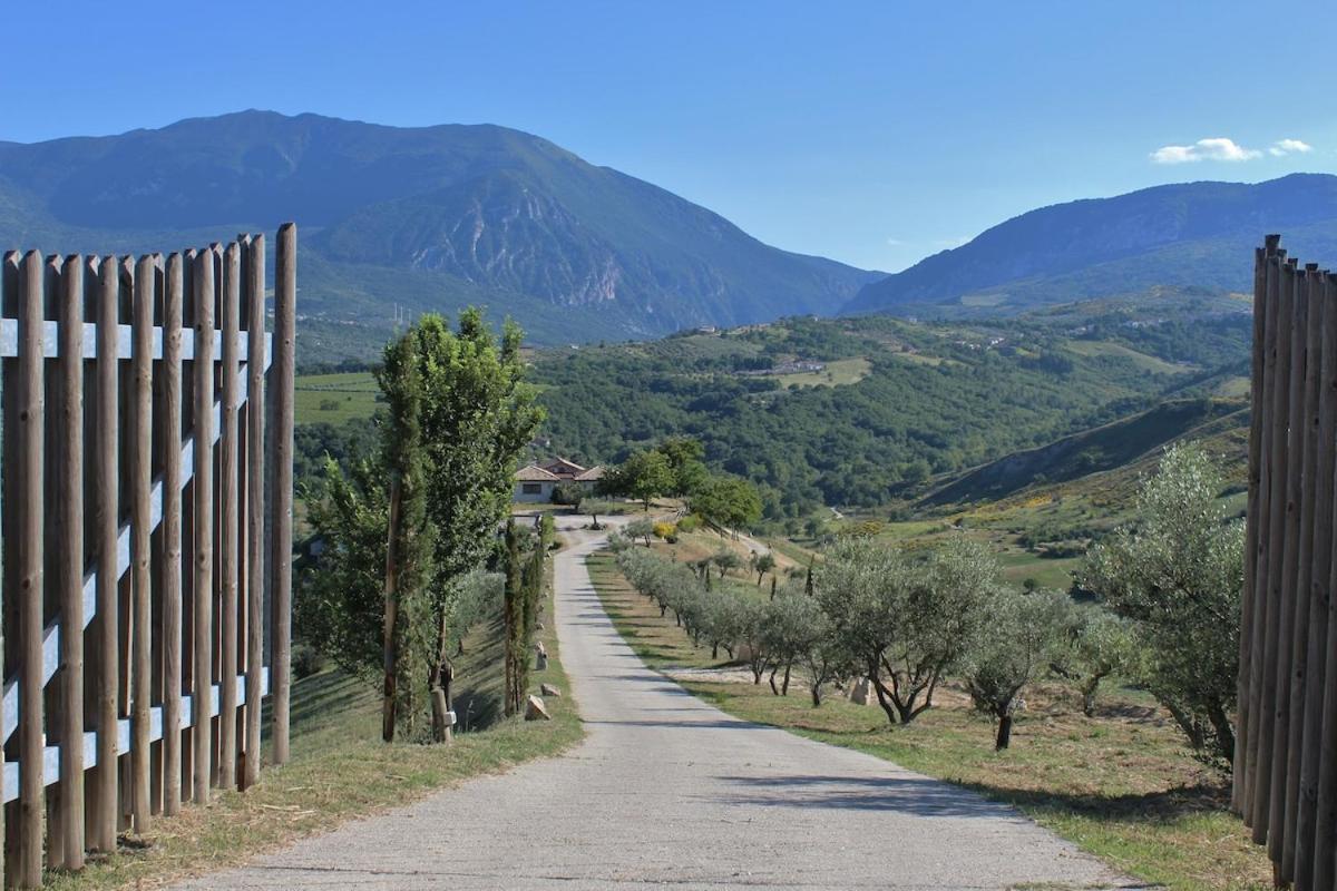 Azienda Agricola Pietra Pizzuta