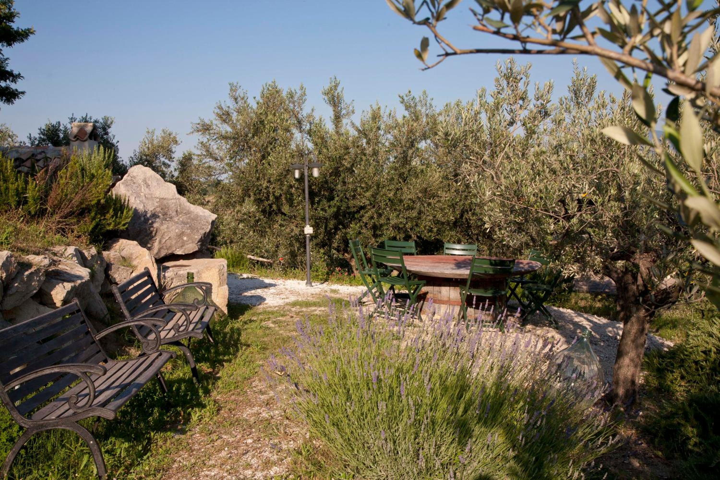 Azienda Agricola Pietra Pizzuta