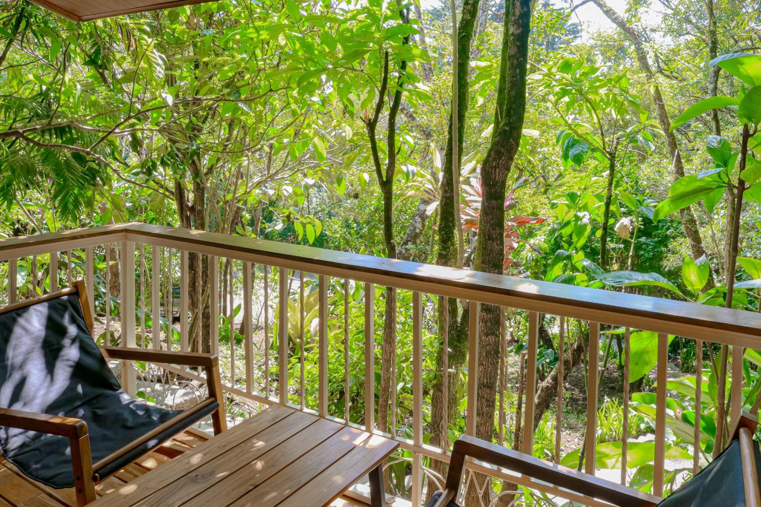 Casa Guarumo Monteverde