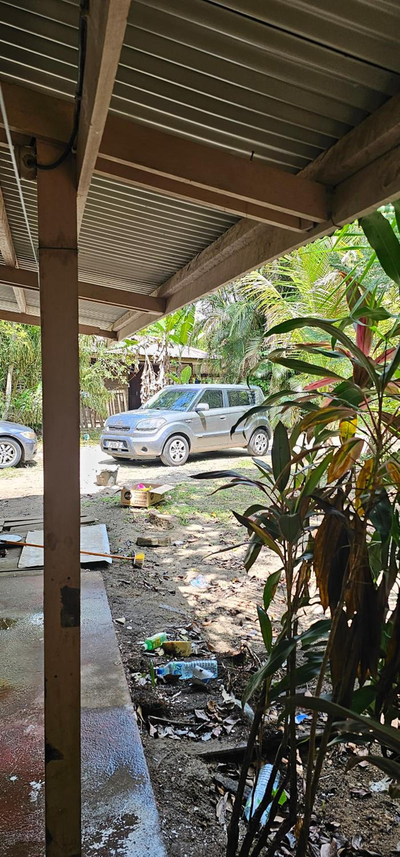 JUNGLE HOUSE