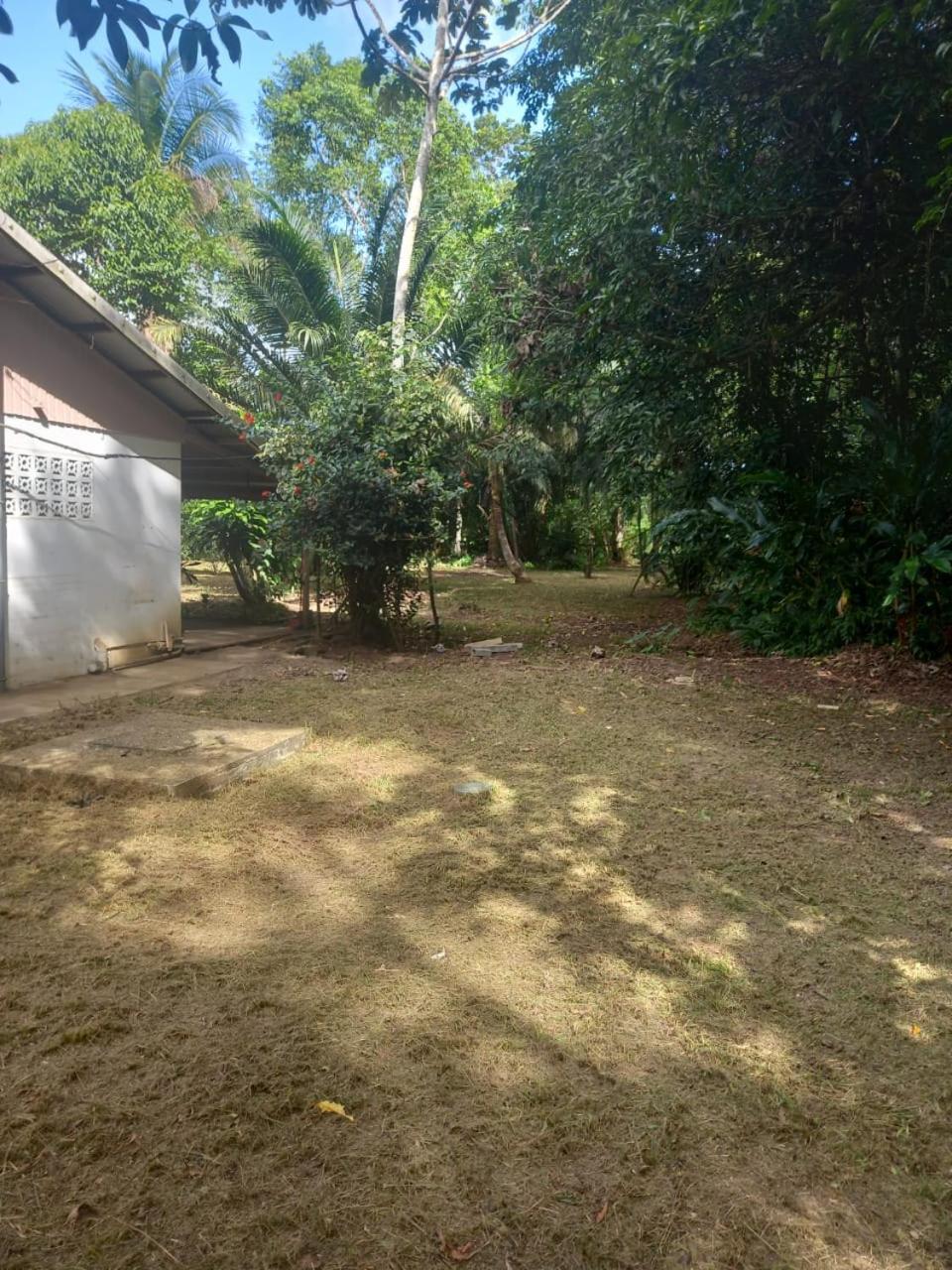 JUNGLE HOUSE