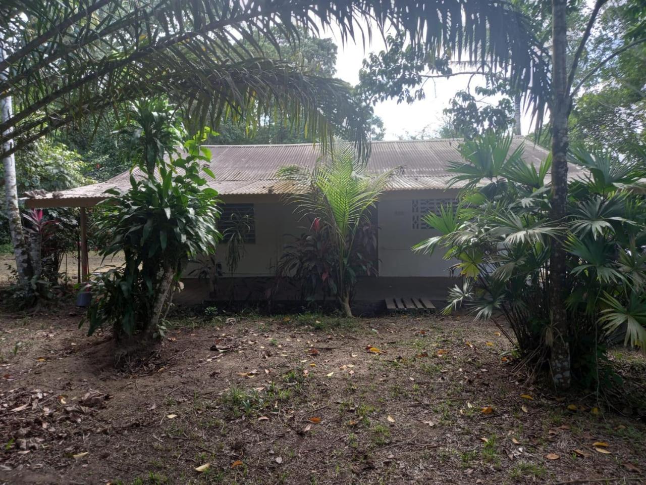 JUNGLE HOUSE