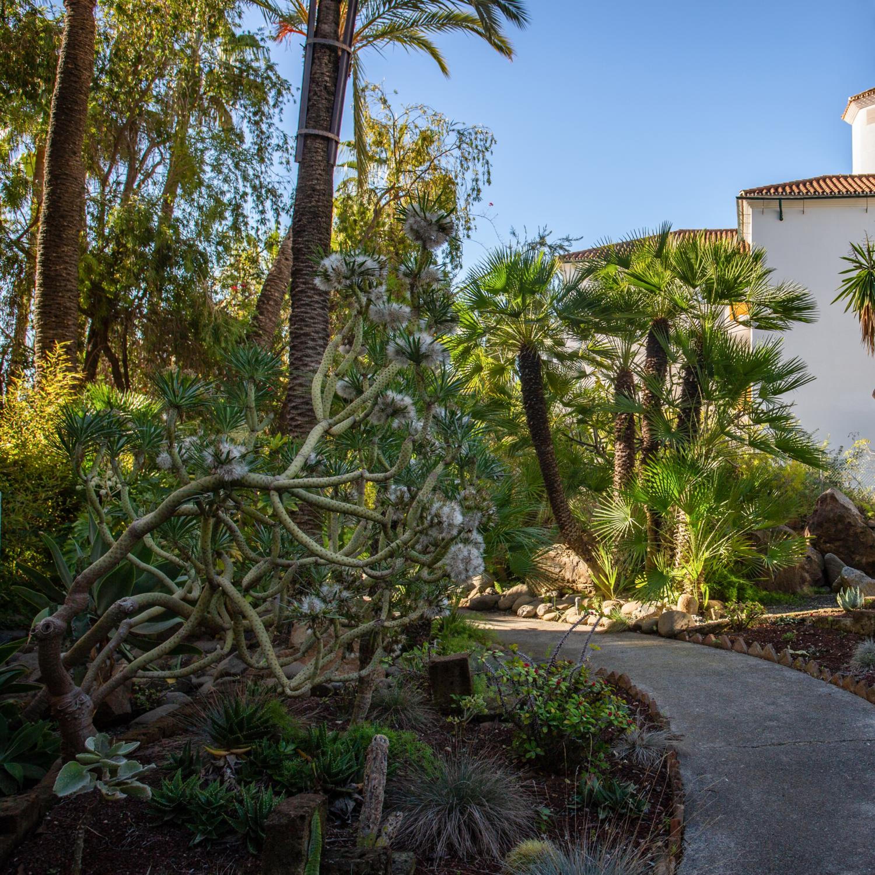 Ideal apartment in Marbella, Near Nikki Beach
