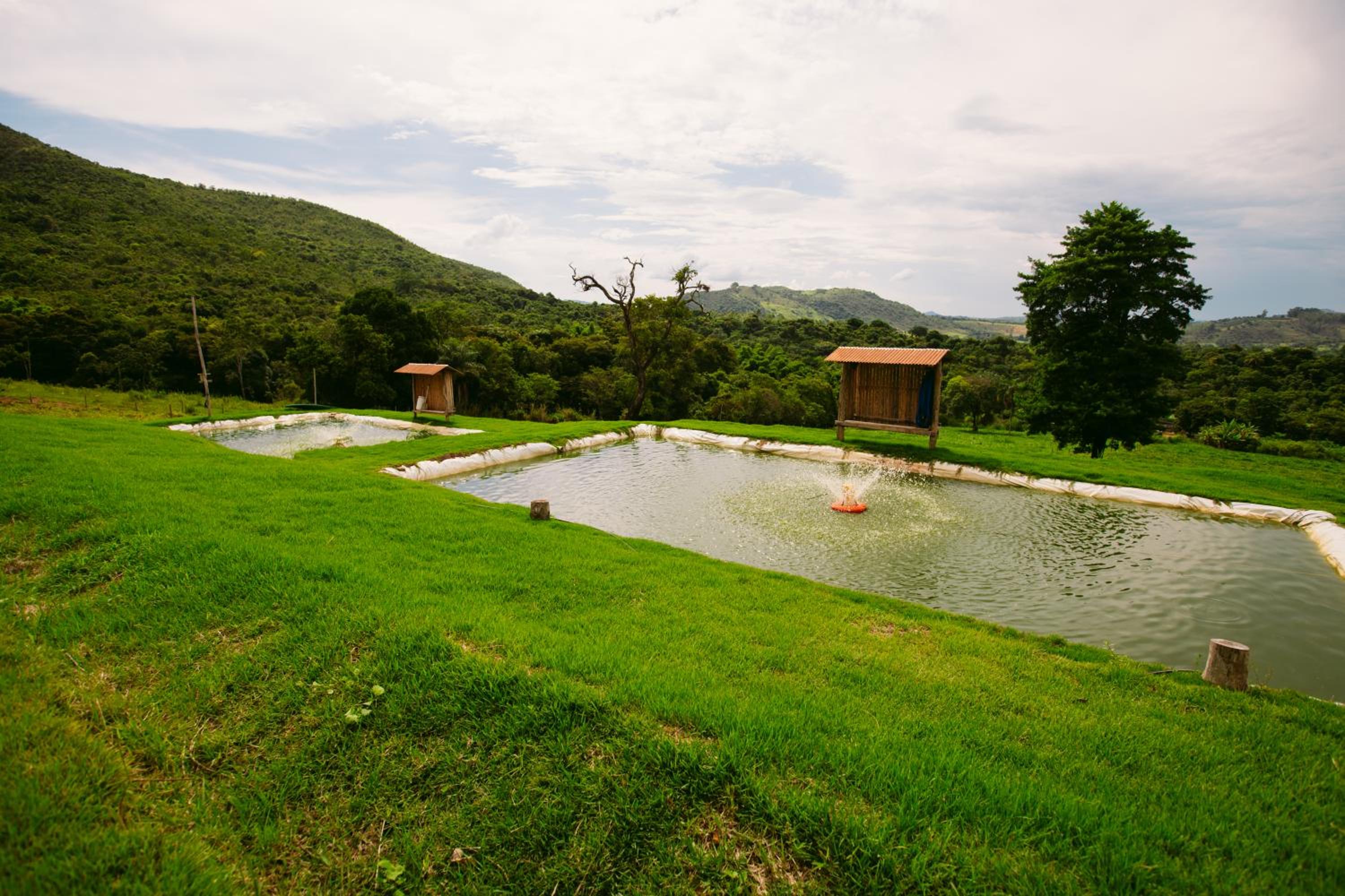 Pousada Mirante dos Ipês - Capitólio - MG