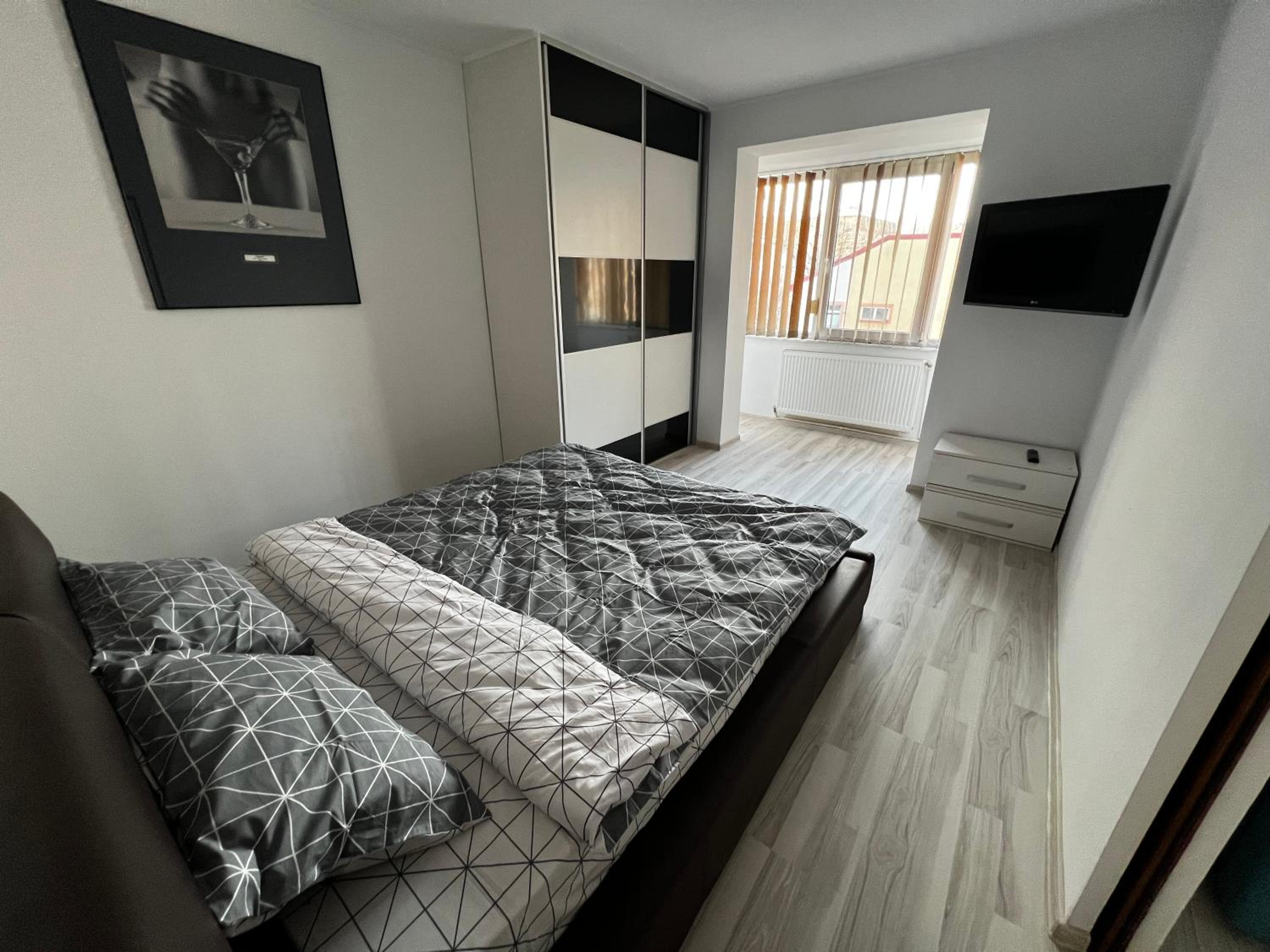 Apartament Teo Ultracentral view 5