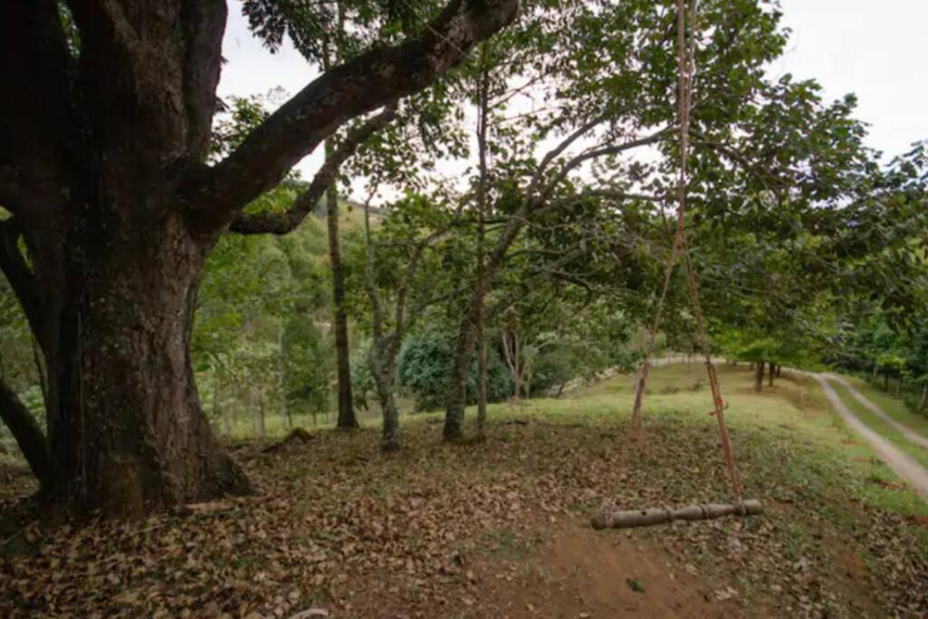 Sitio Sossego