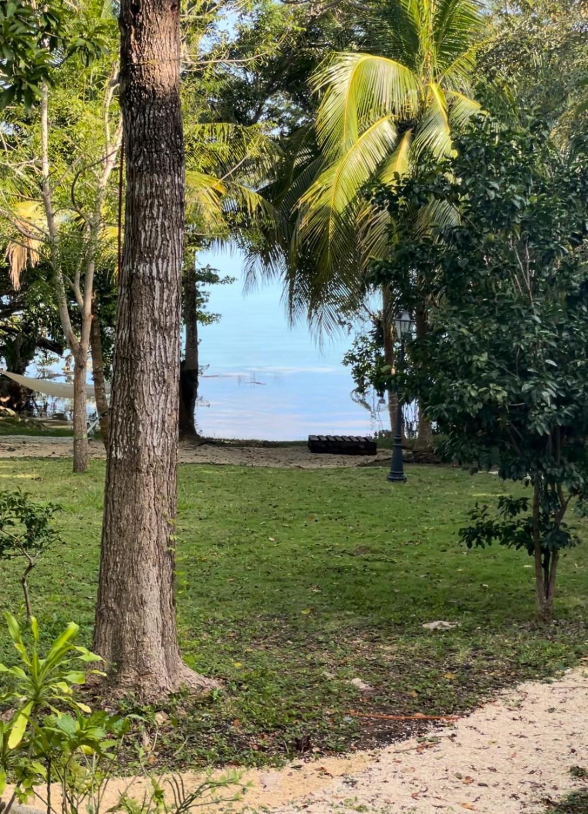 Azul view 3