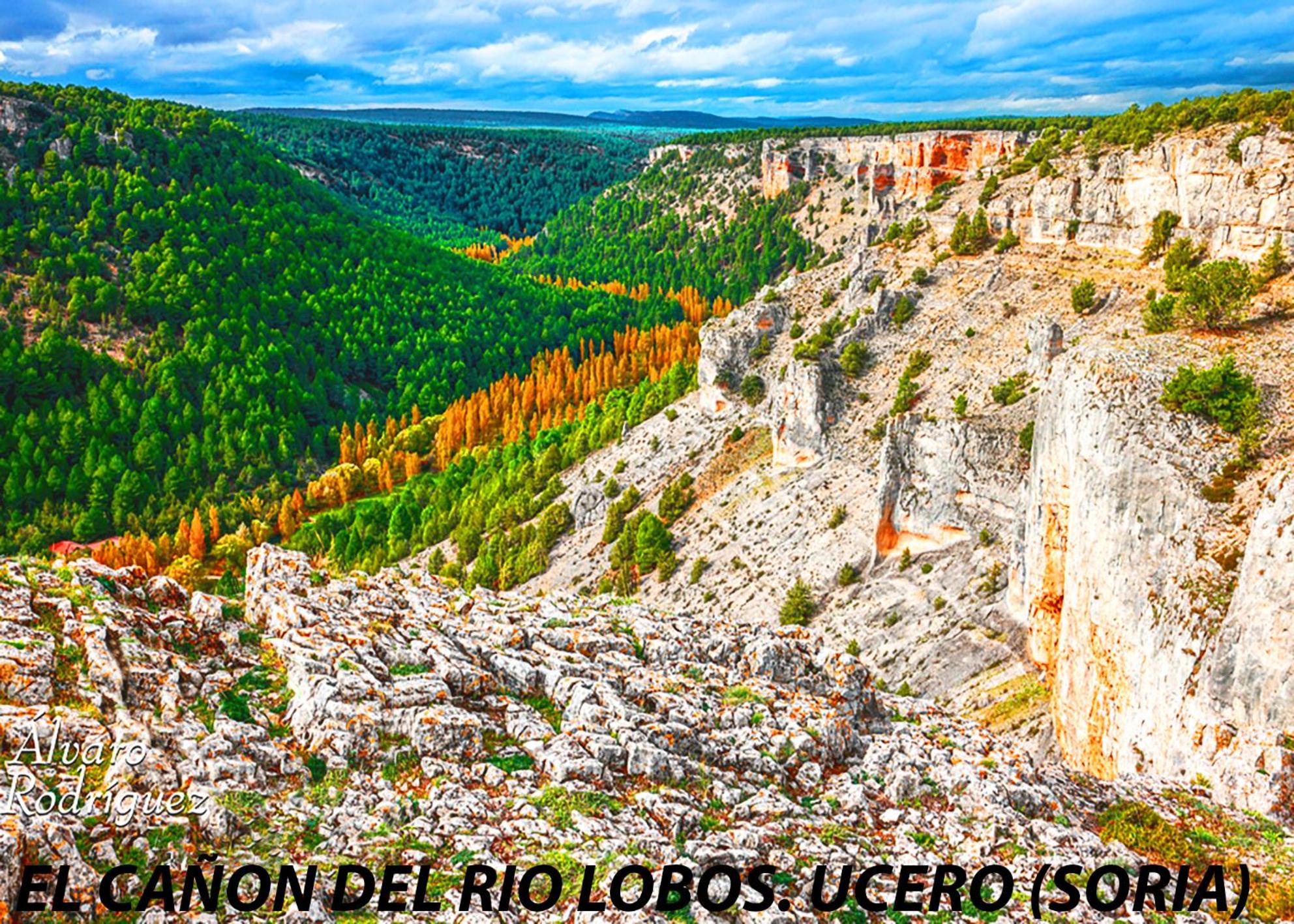 Apartamentos LA CAÑADA DE OSMA