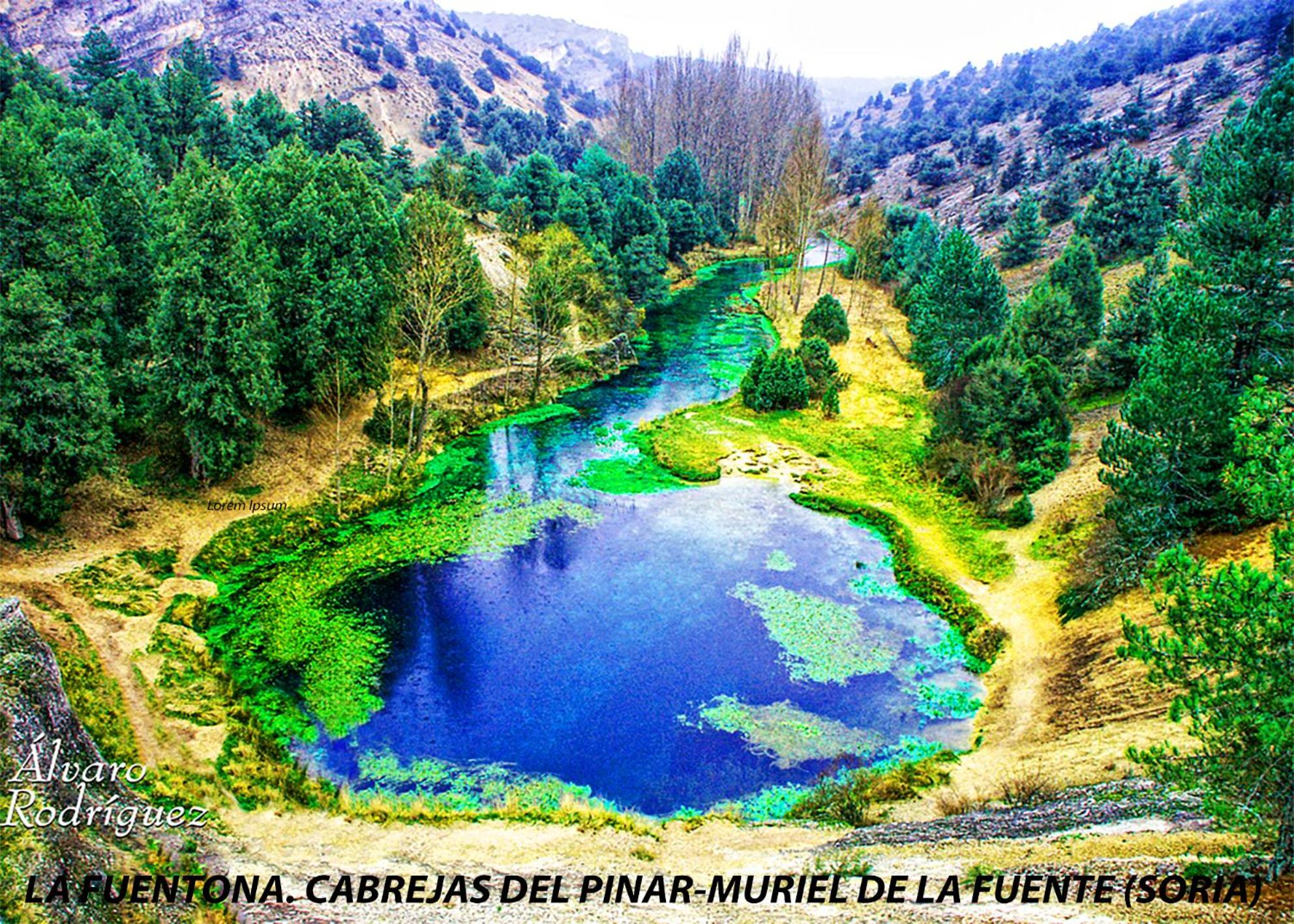 Apartamentos LA CAÑADA DE OSMA