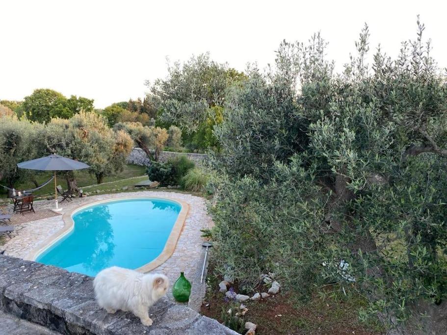 Photo 54
