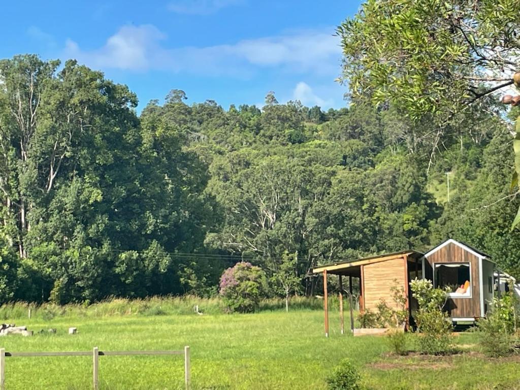 Lush Cabin on a Peaceful Farm