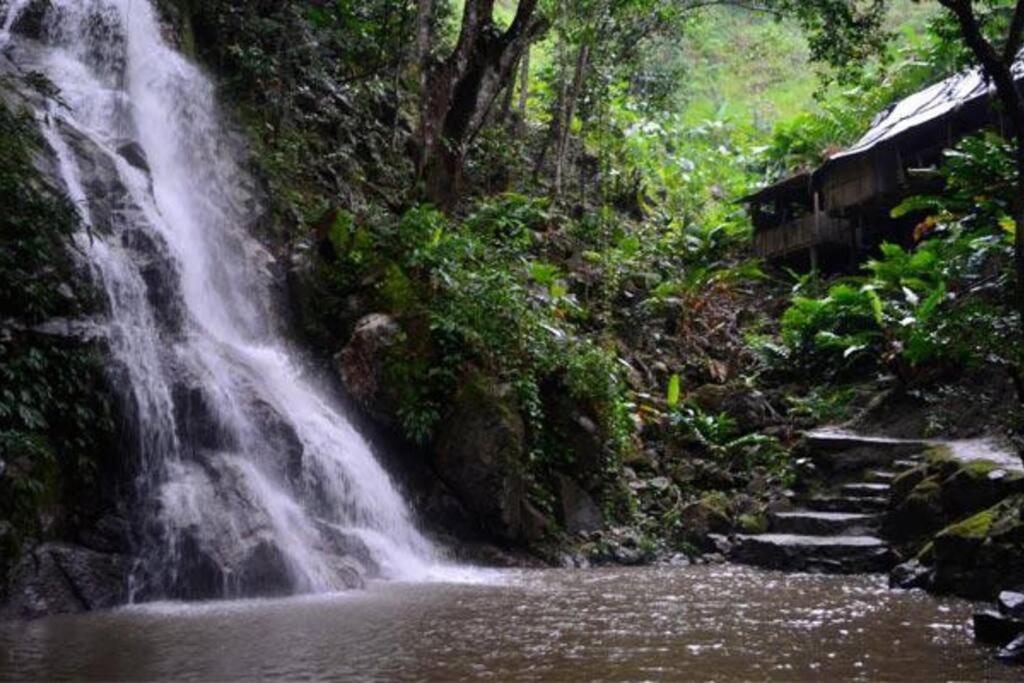 Cabaña con piscina en Minca