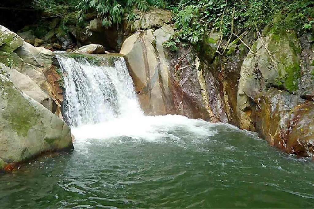 Cabaña con piscina en Minca