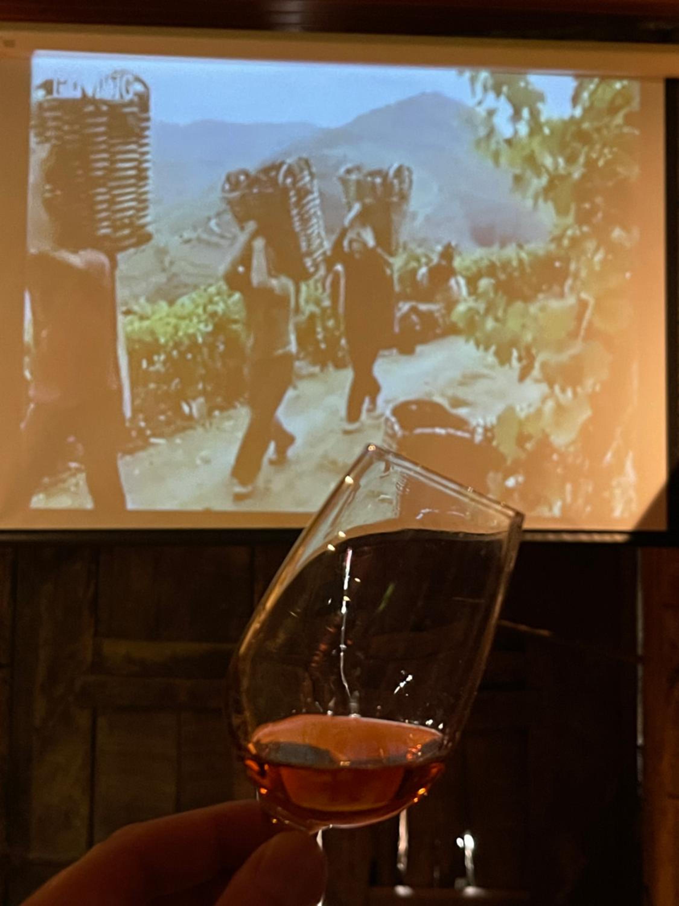Casa dos Barros Winery Lodge by Vintage Theory view 3