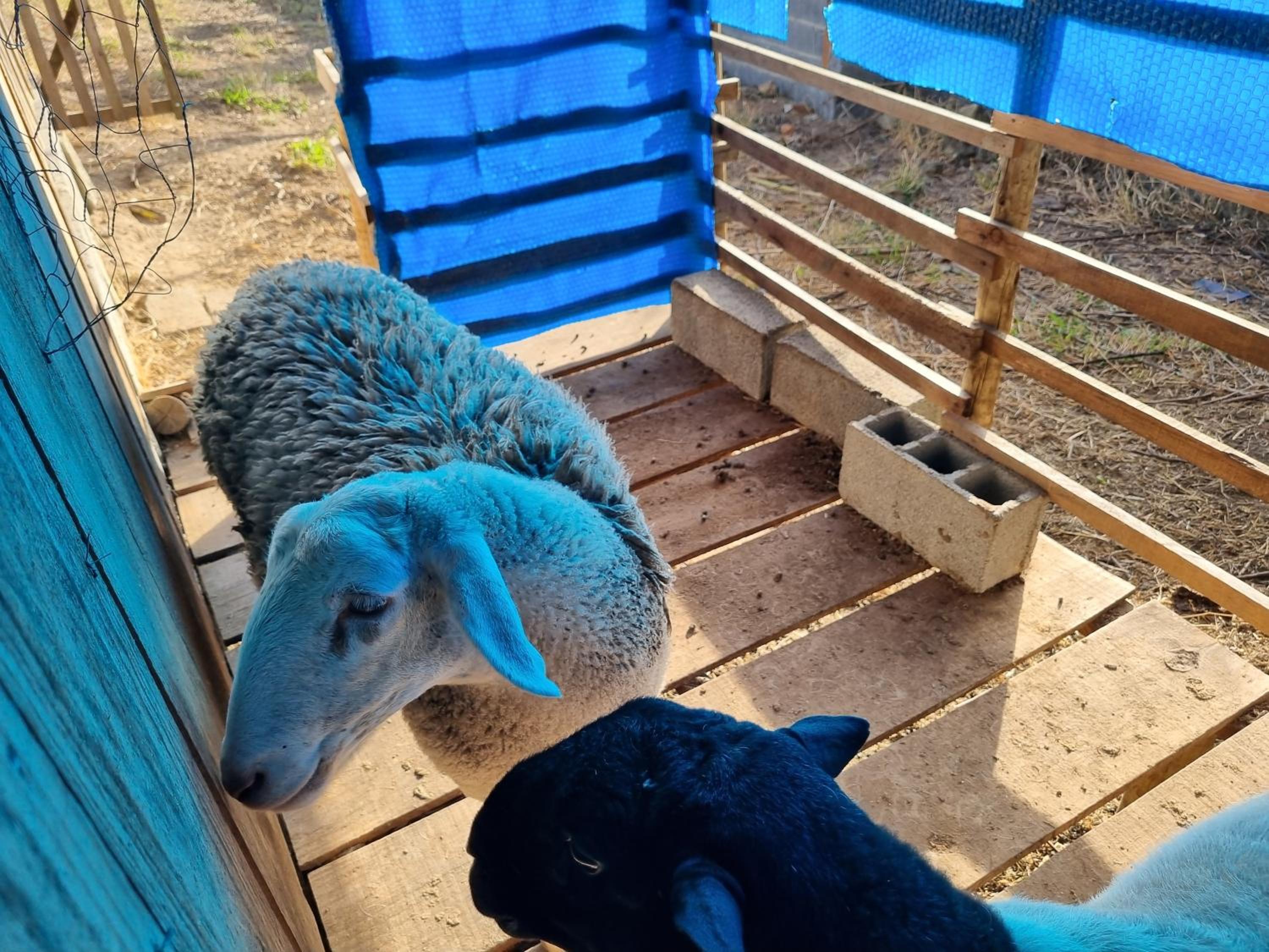 Chácara Áquila