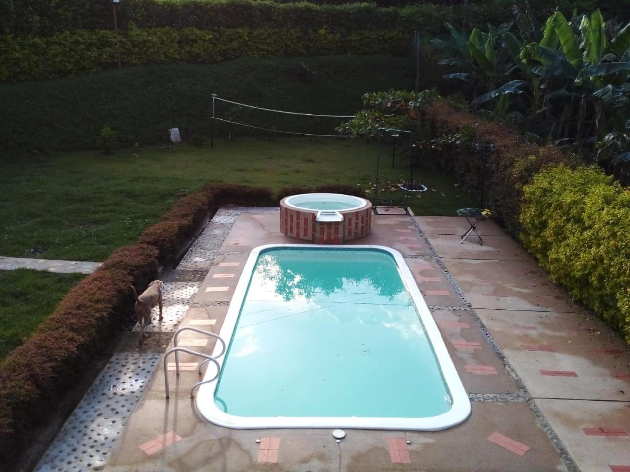 Oasis Morelia