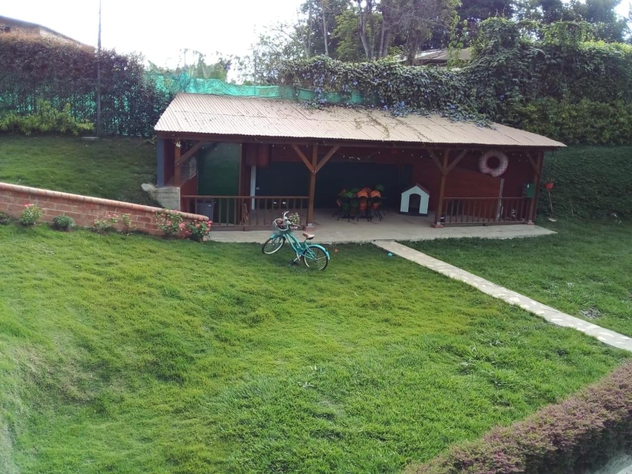 Oasis Morelia