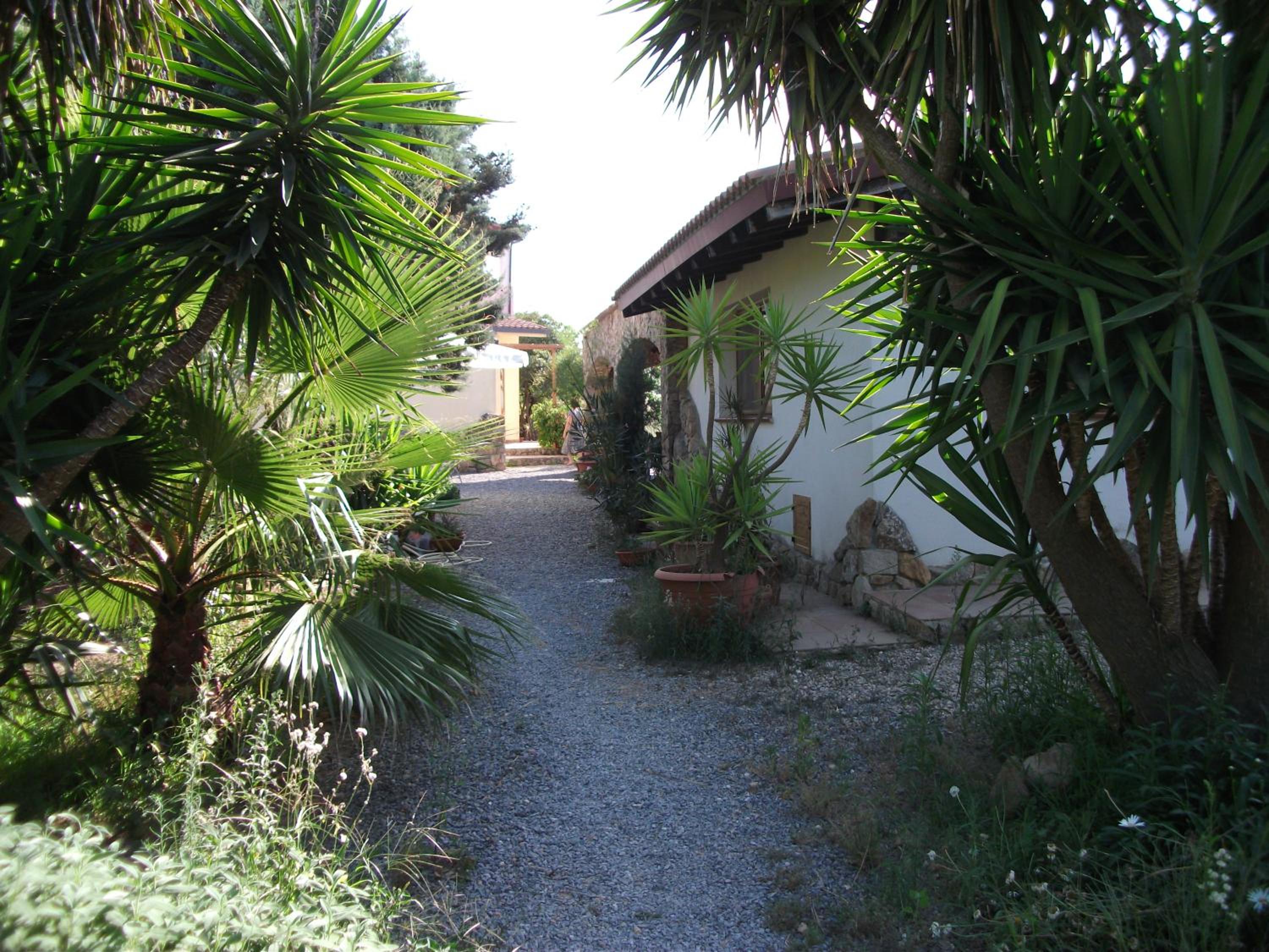 Photo 31